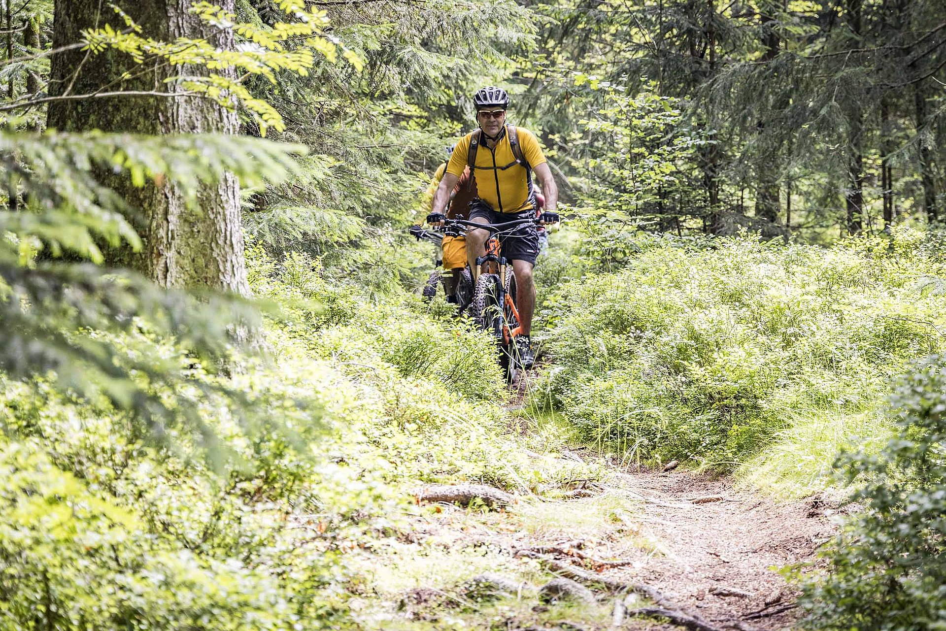 Mountainbiken im Steinwald