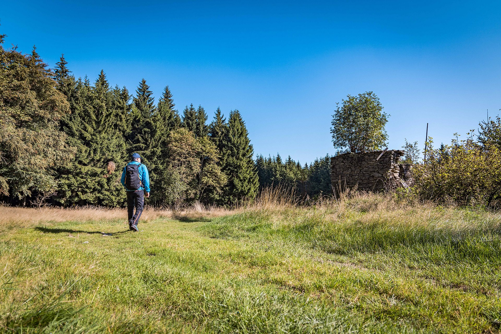 Wandern bei der Bügellohe