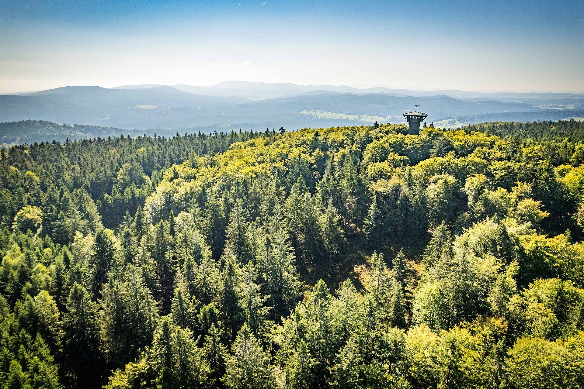 Blick zum Böhmerwaldaussichtsturm