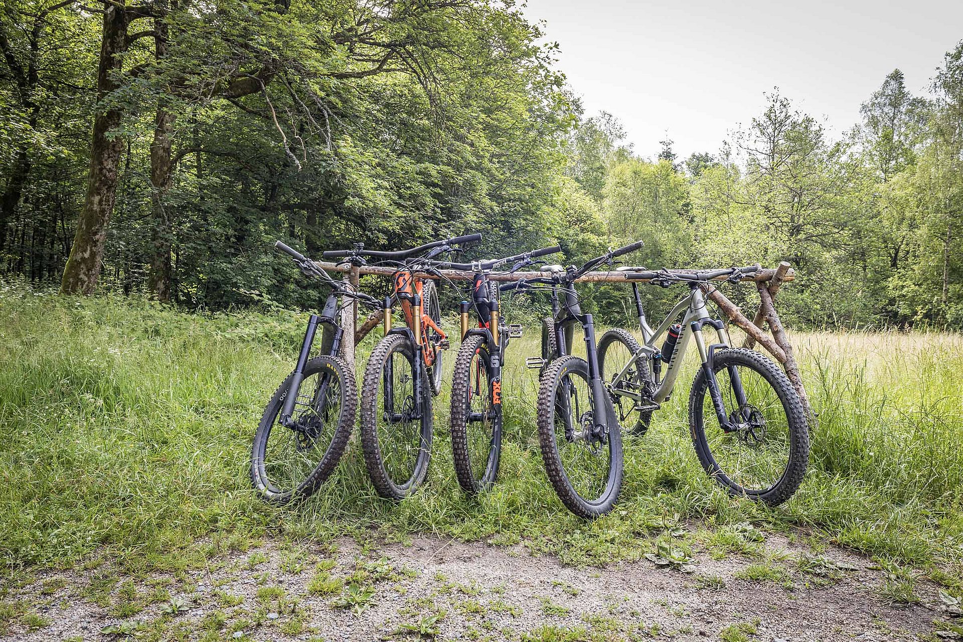 Mountainbiken im Steinwald