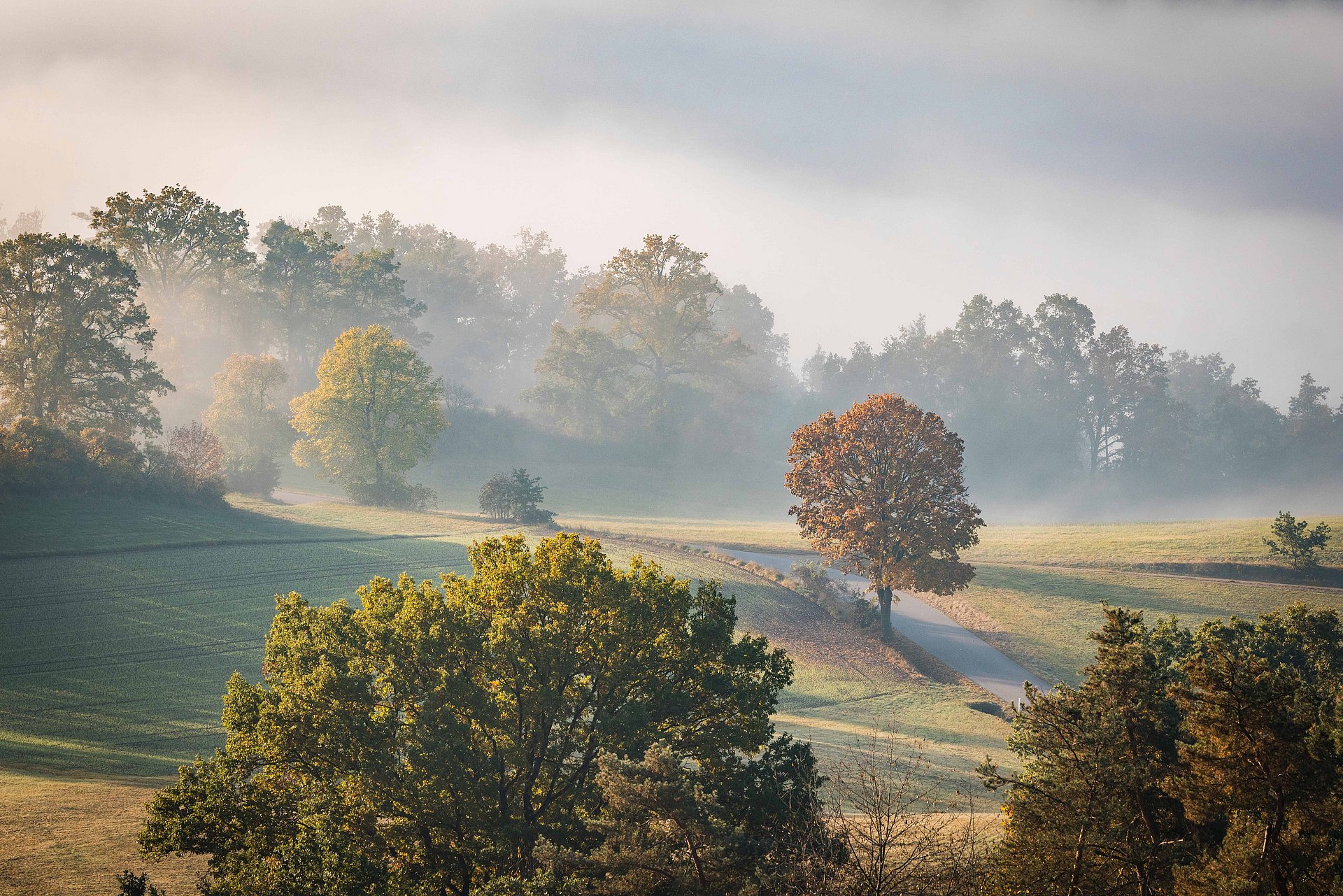 Herbstnebel