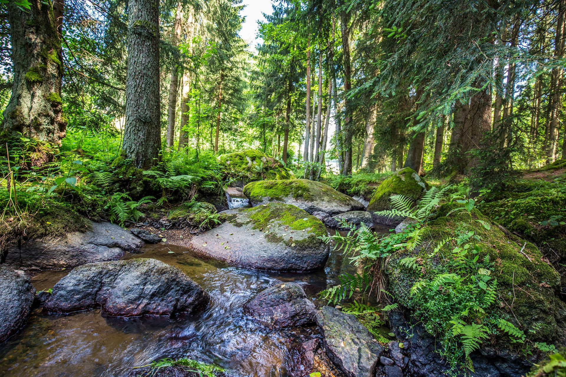 Unsere Wald- und Wasserwelten