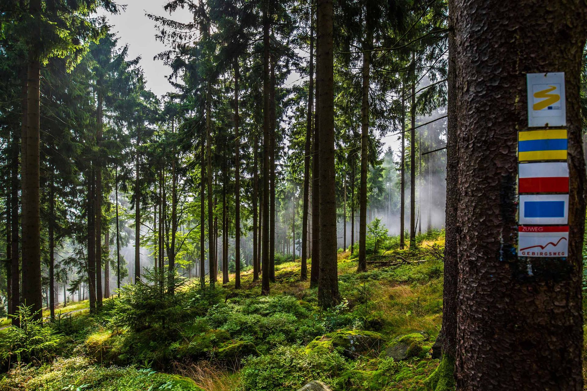 Wandern im Naturpark Steinwald