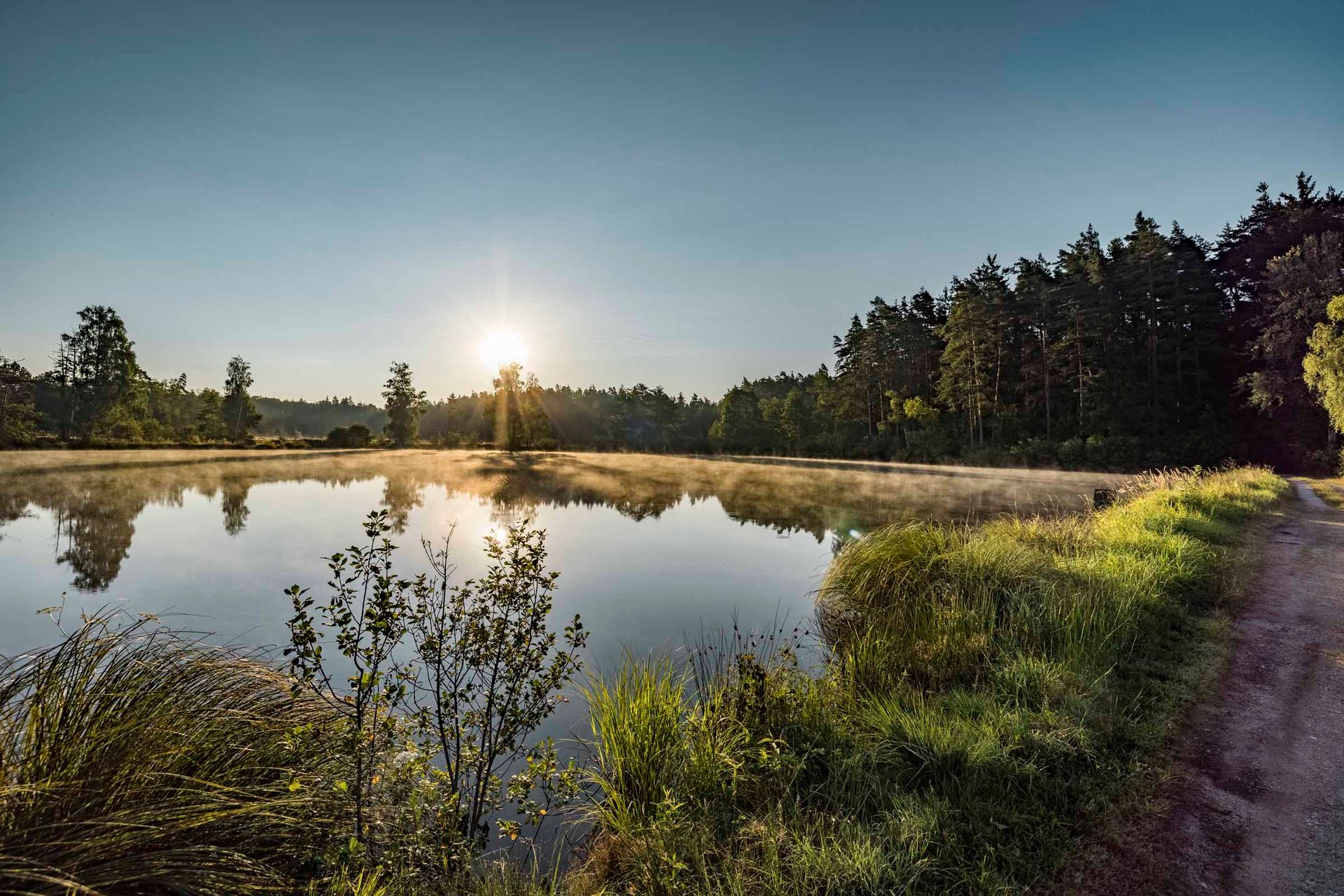 Goldene Stunde in der Waldnaabaue