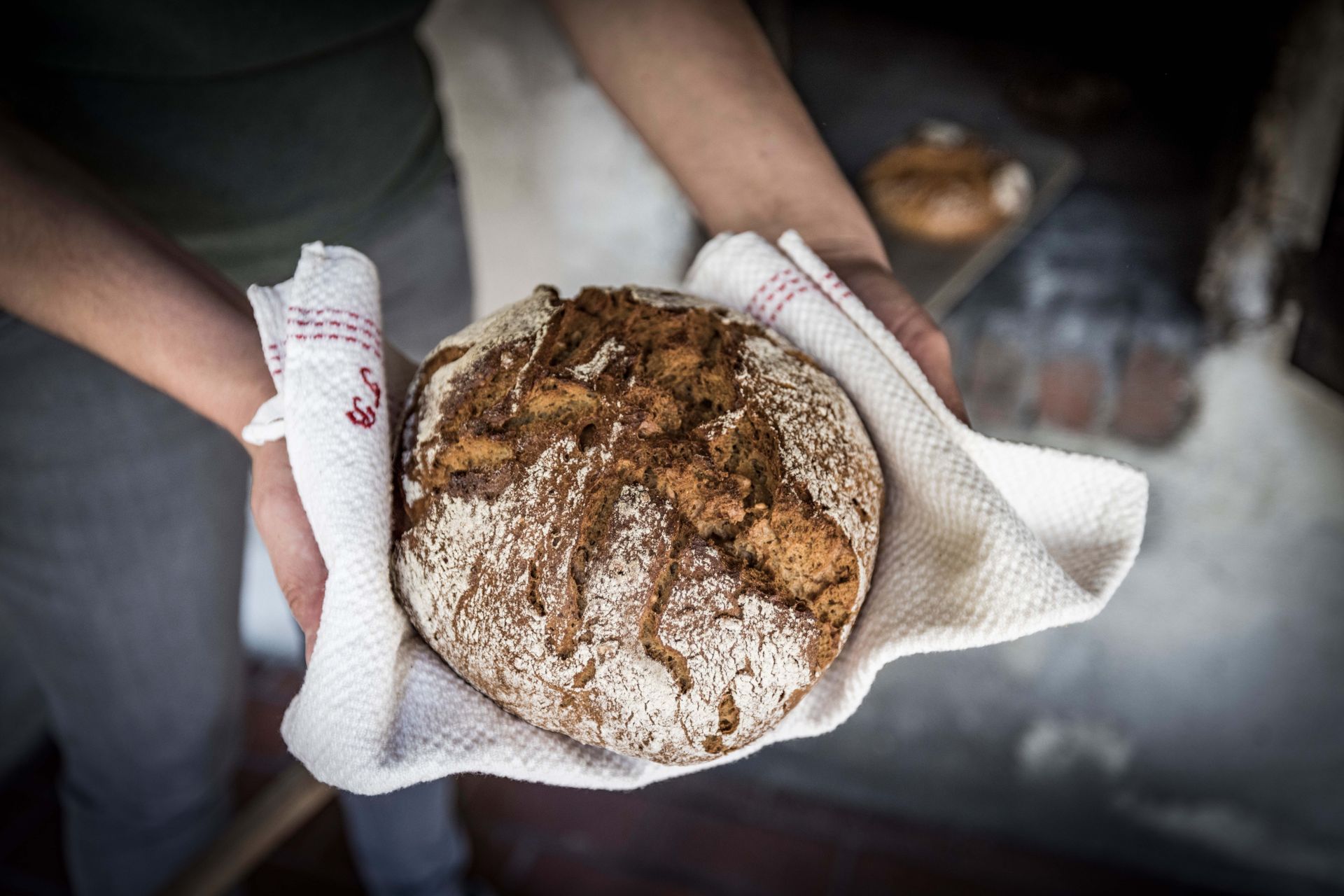 Frisch gebackenes Brot