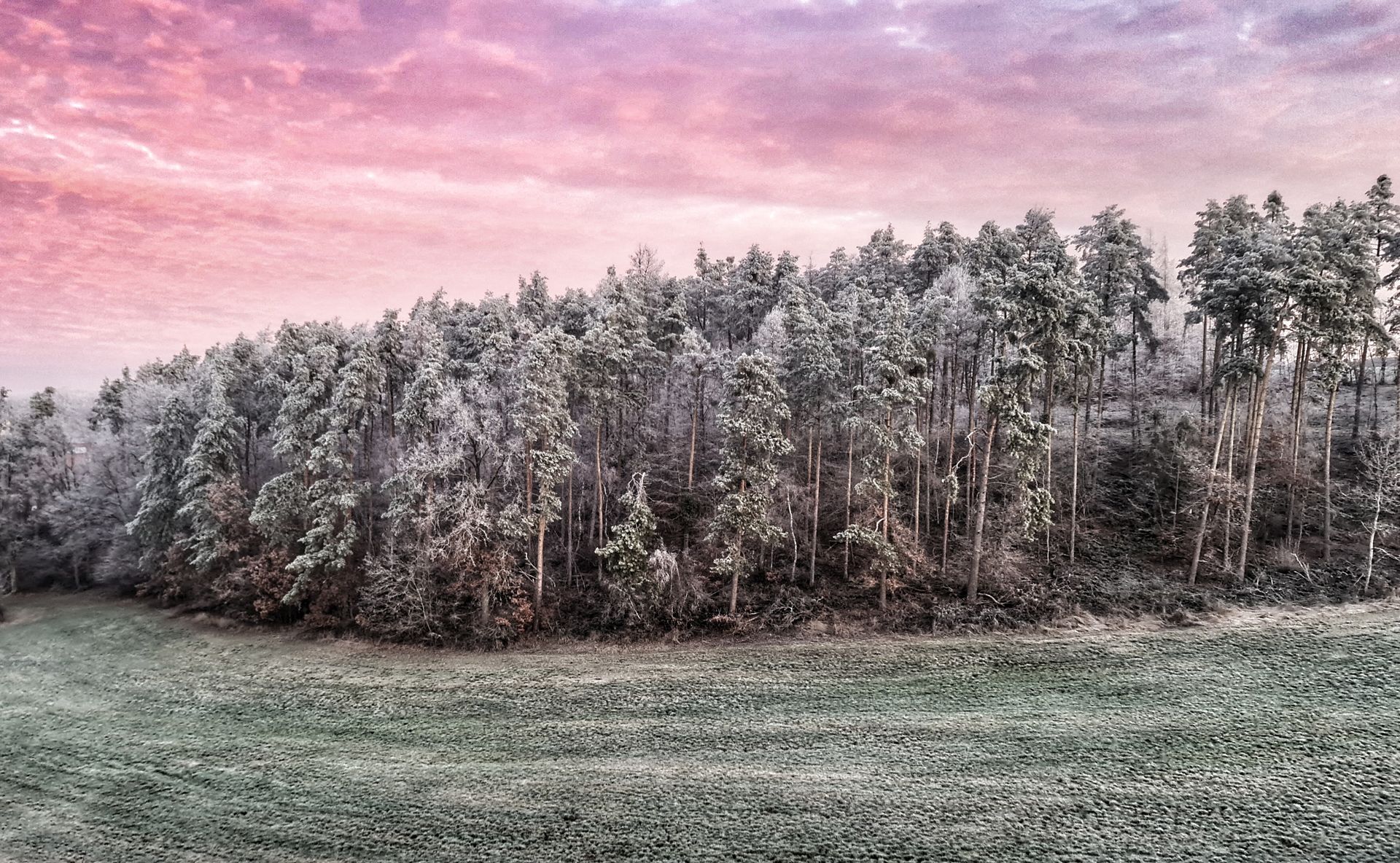 Frostiger Morgen im Oberpfälzer Wald