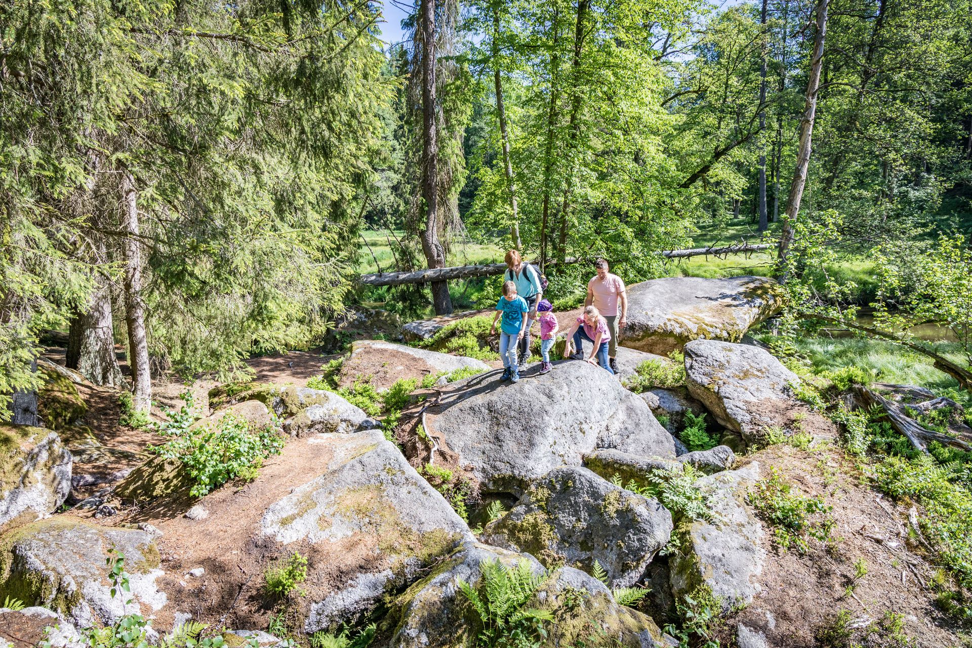 Wanderung im Waldnaabtal