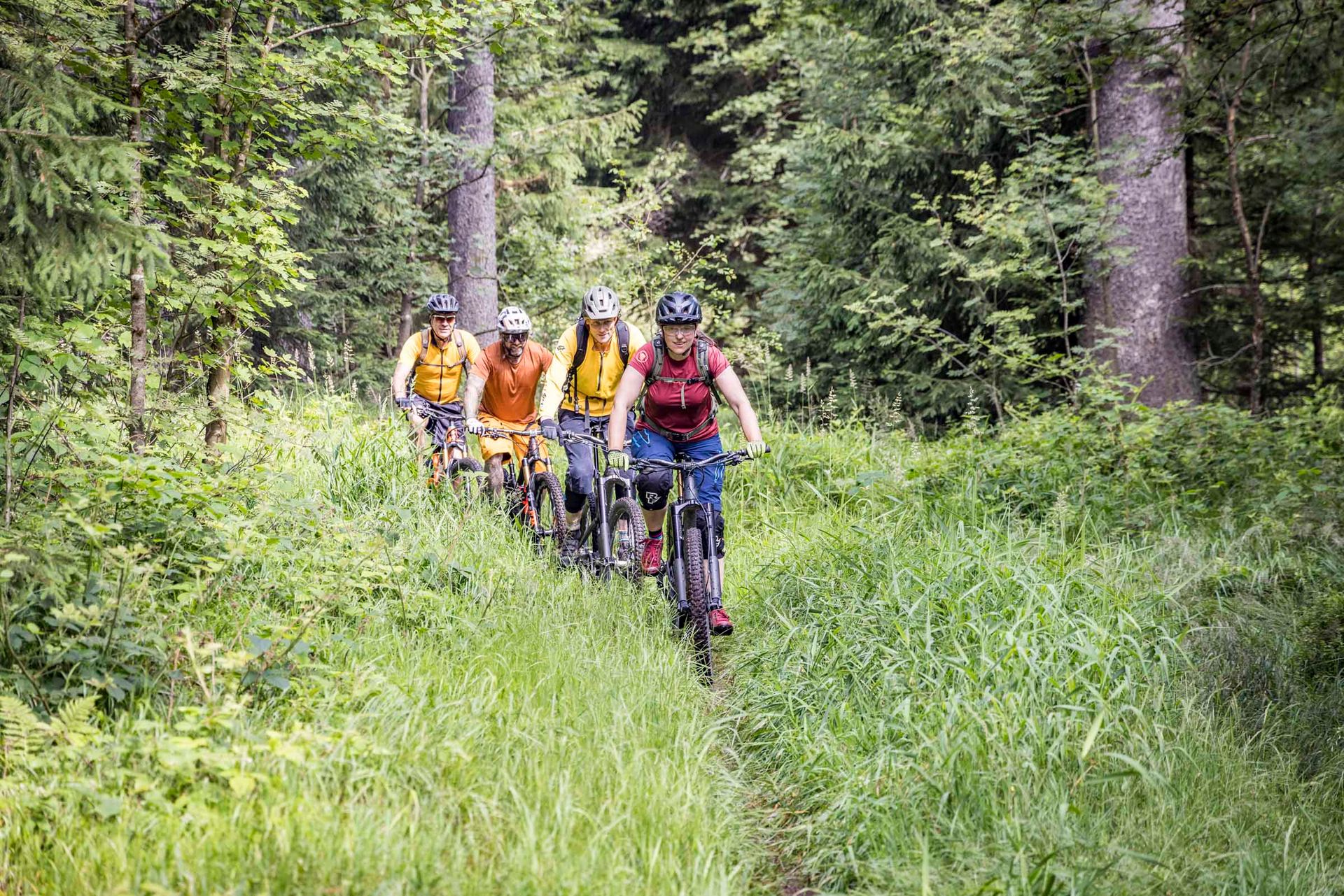 Mountainbiken im Steinwald