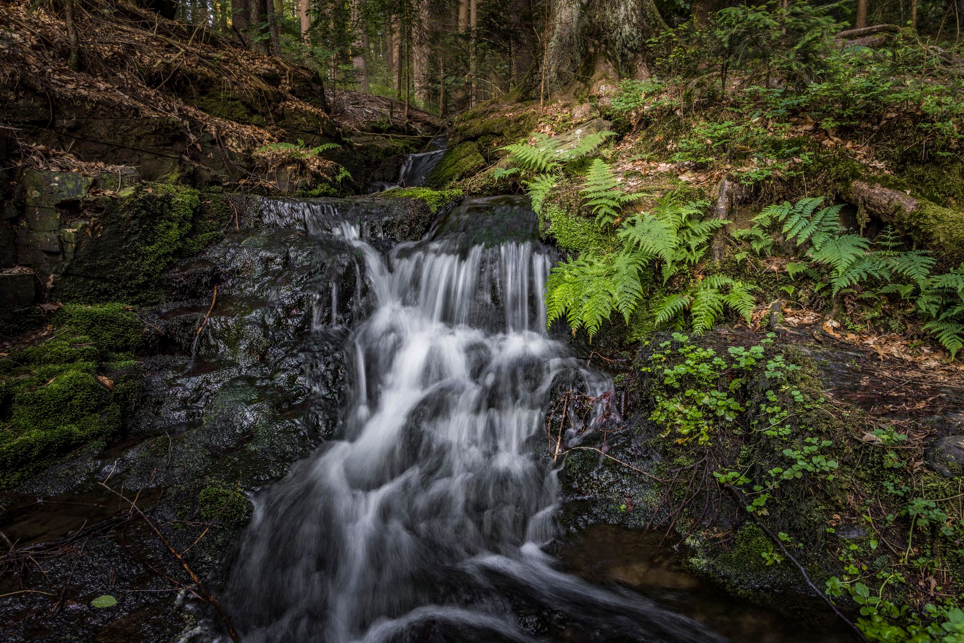 Wasserfall am Muglbach