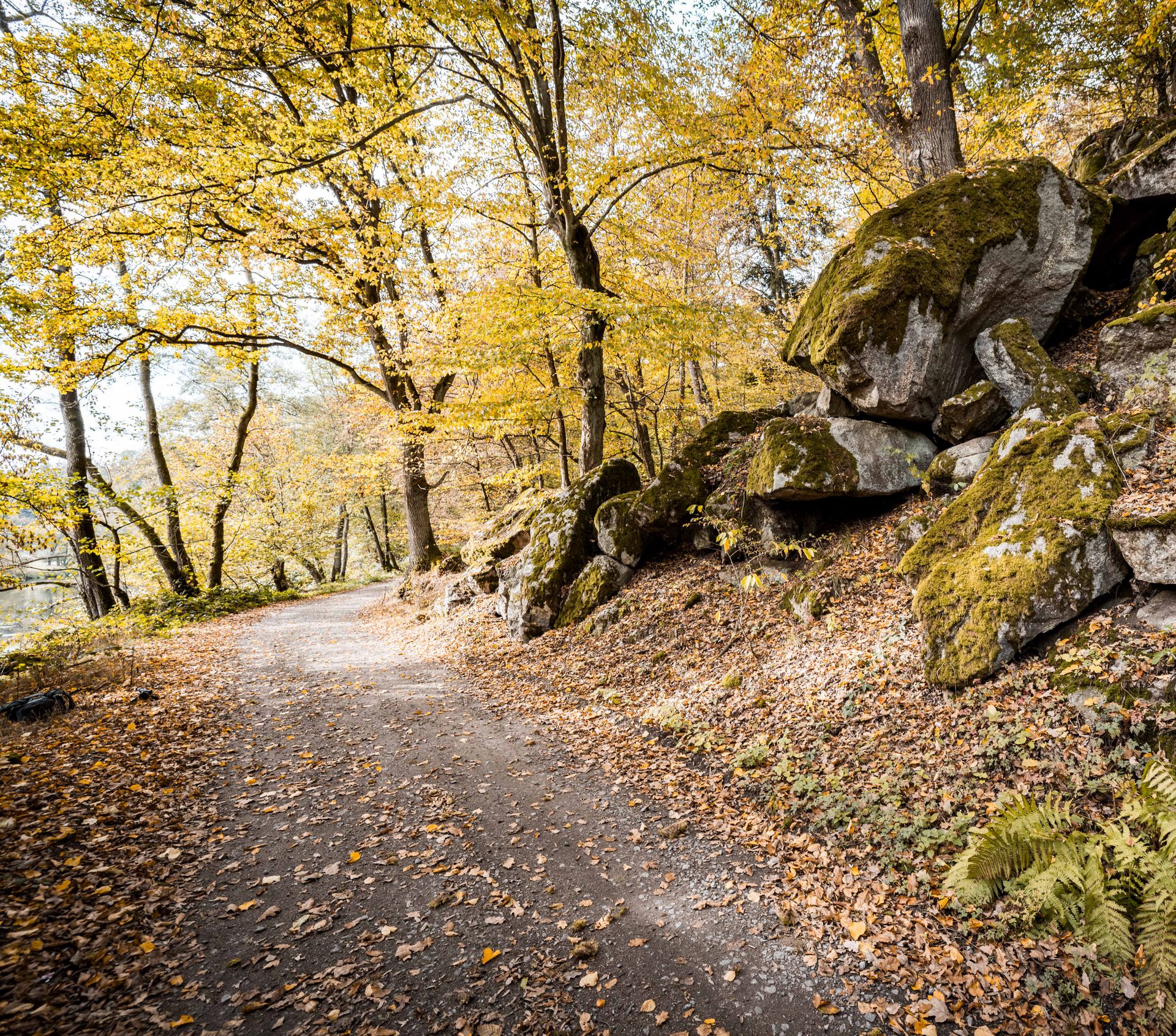 Regental im Herbst