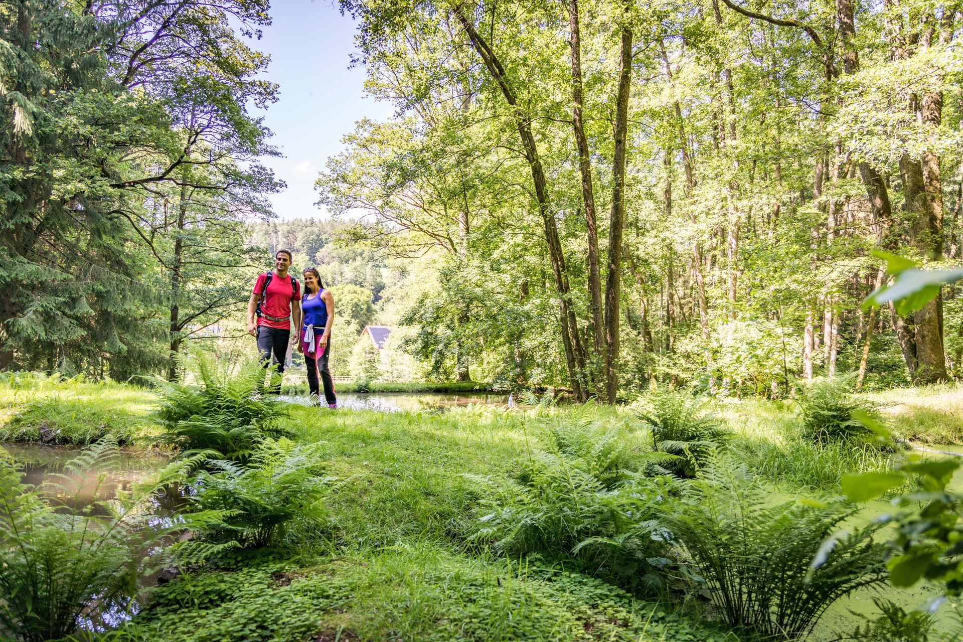 Den Wald bei Oberviechtach entdecken