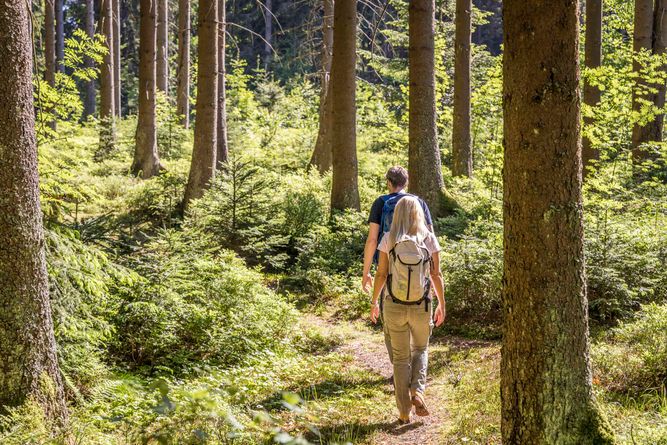 Wandern an der Waldnaabquelle