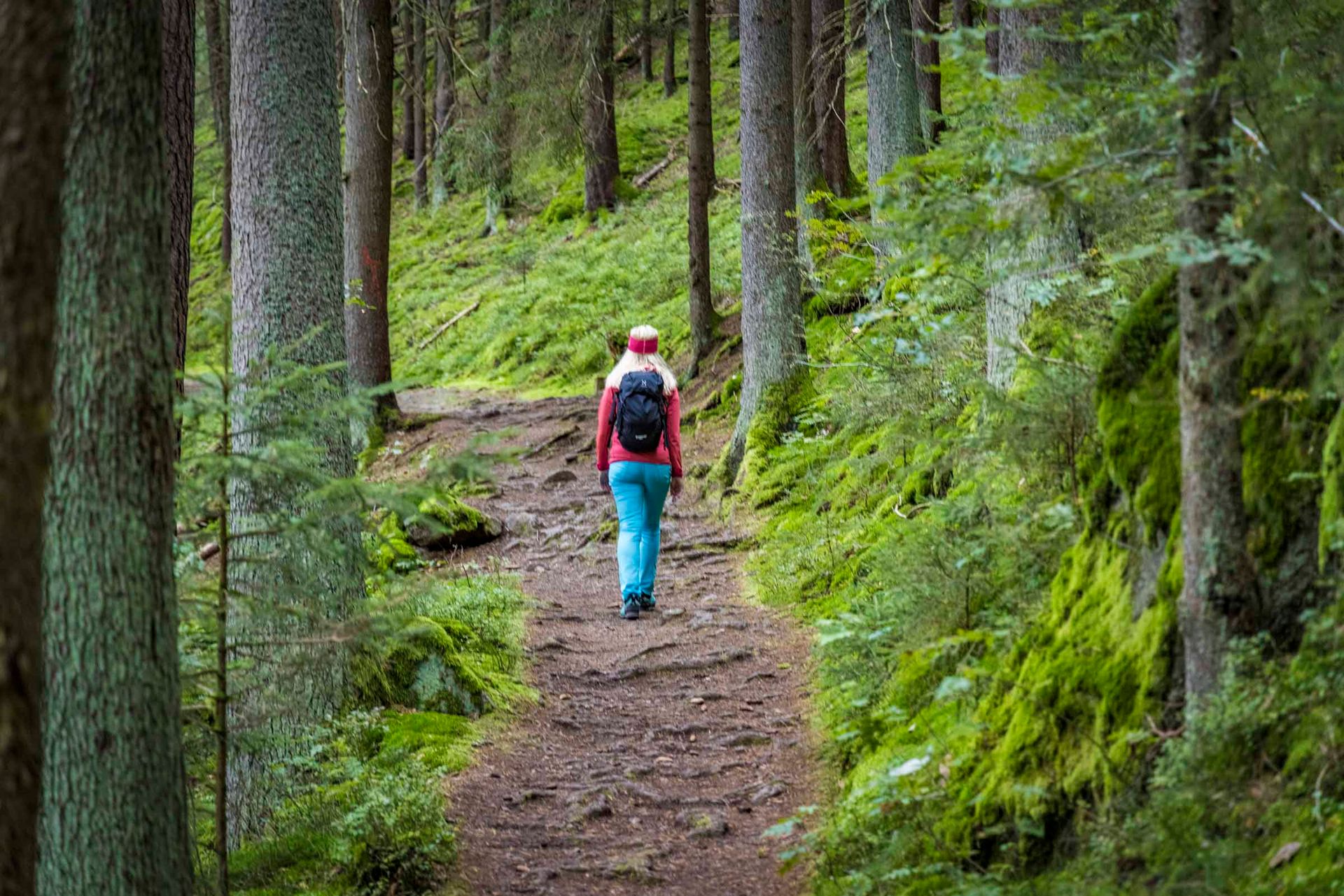 Wandern im Waldnaabtal