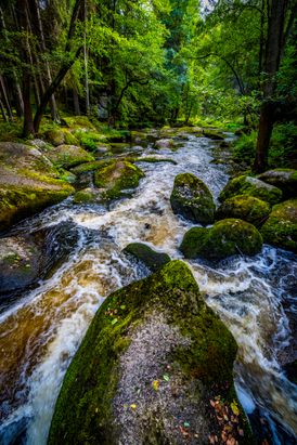 Wasserlauf im Waldnaabtal