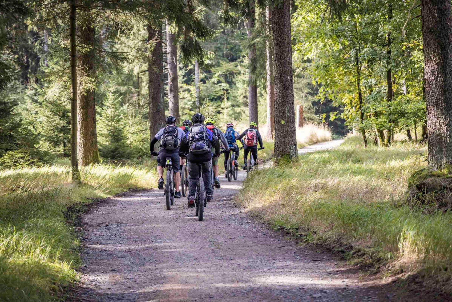 Radeln im Naturpark Steinwald