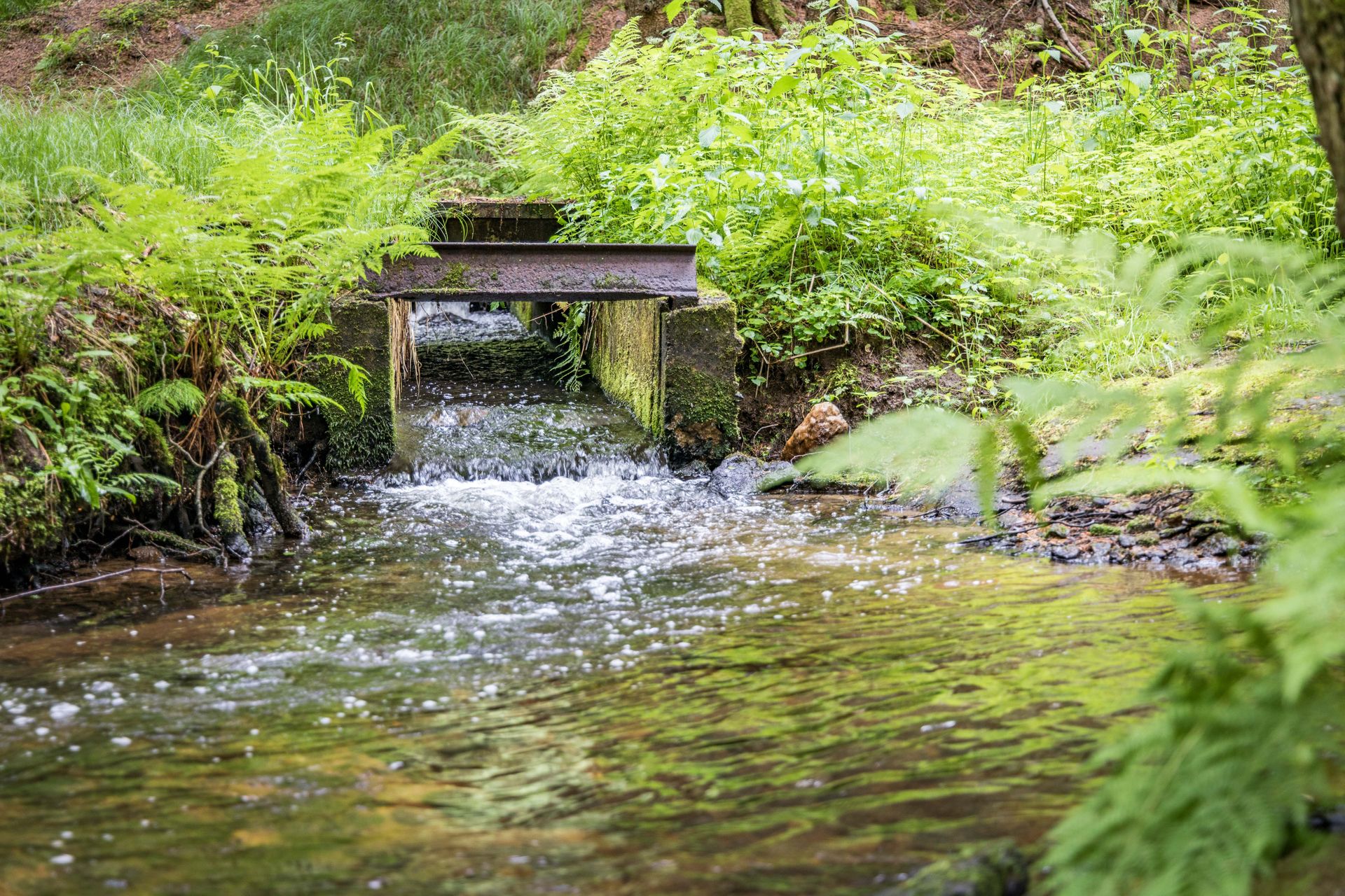 Idyllische Natur