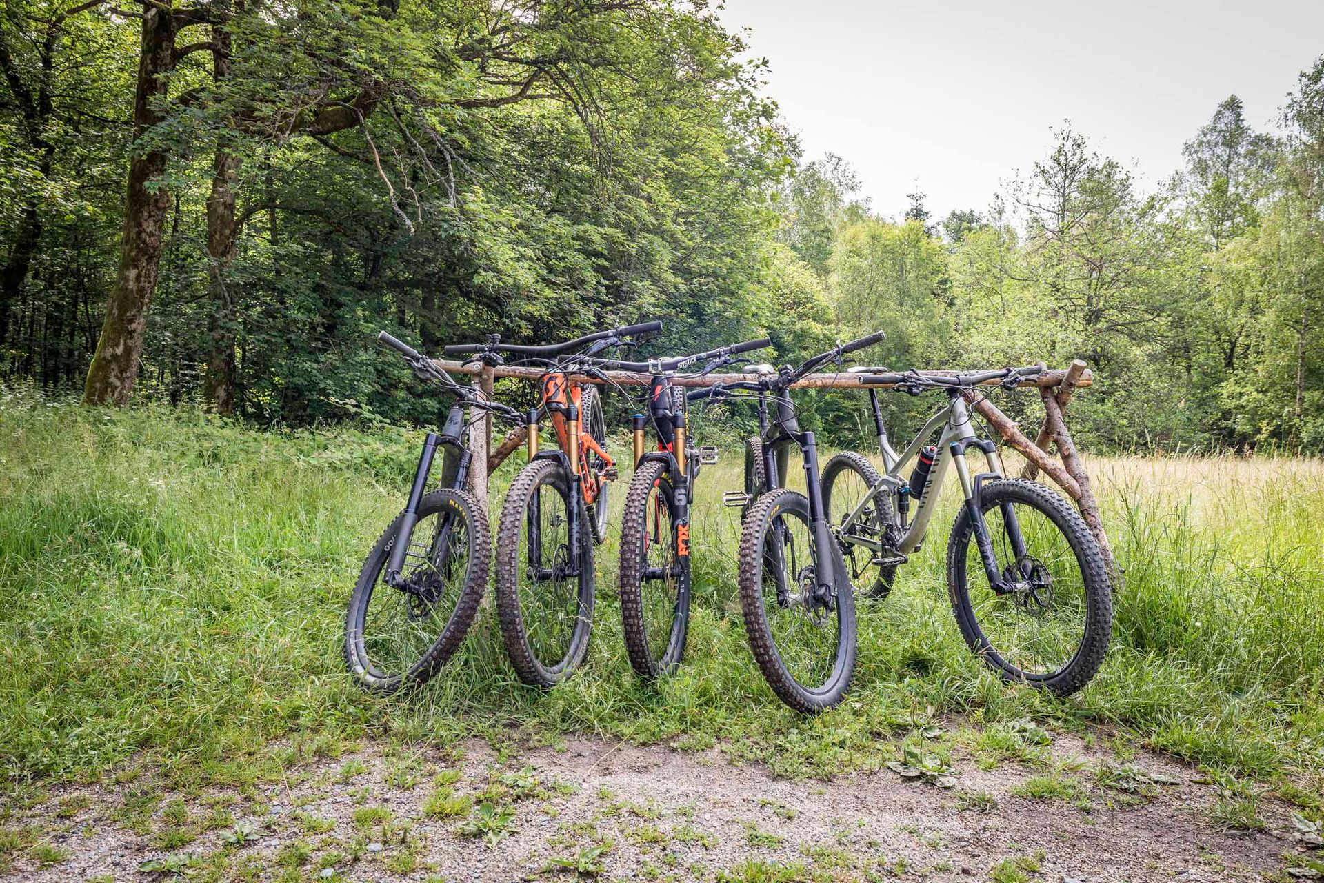 Mountainbiken im Steinwald