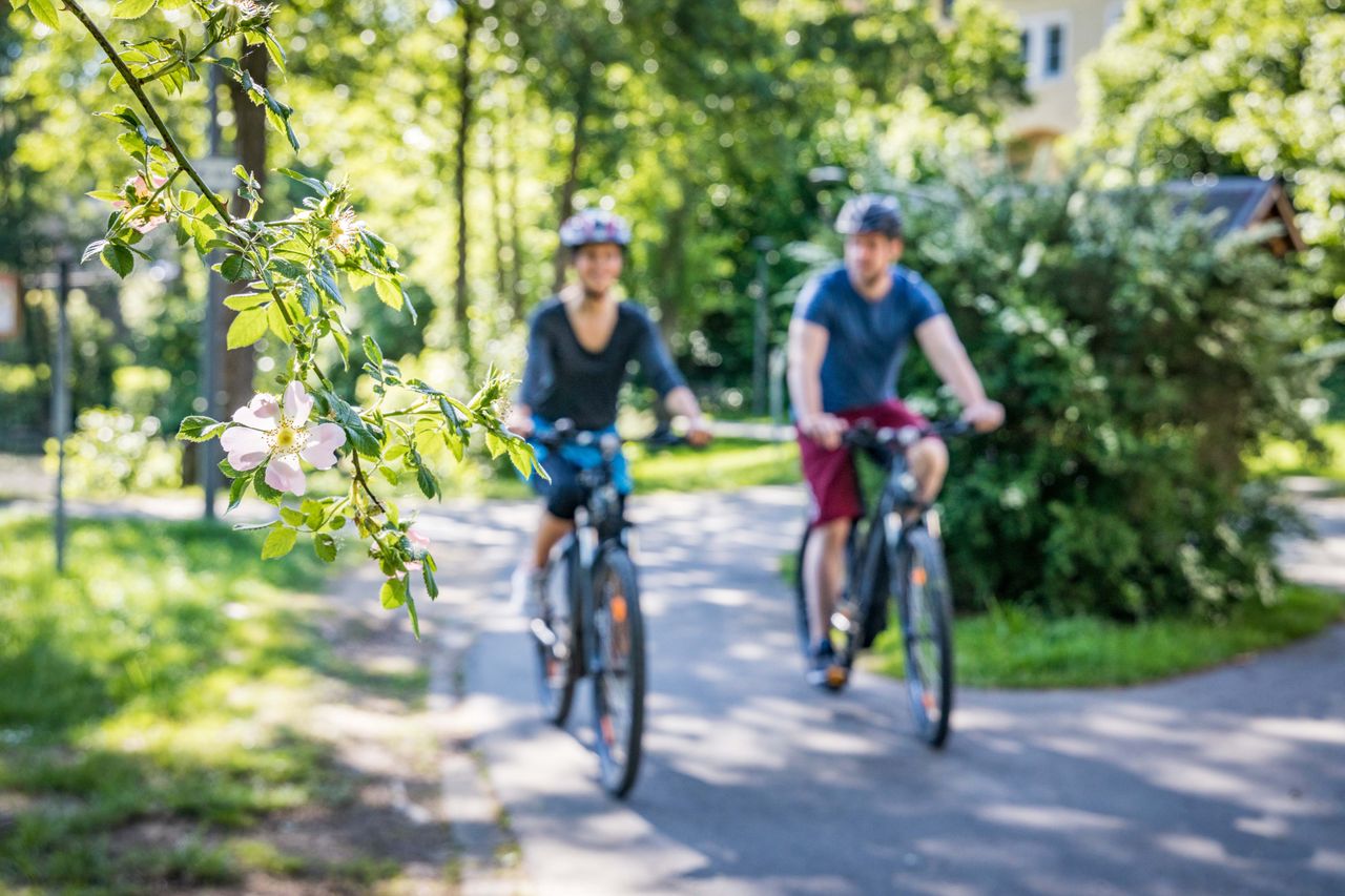 Am Schwarzachtal-Radweg bei Kröblitz