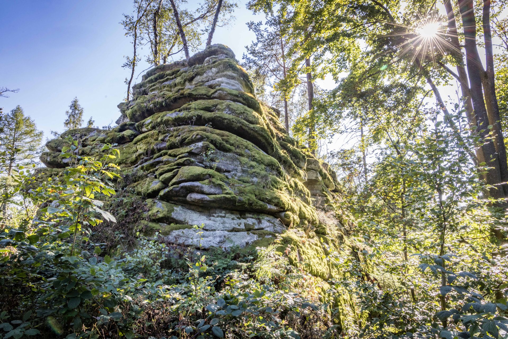 Burgruine Schellenberg