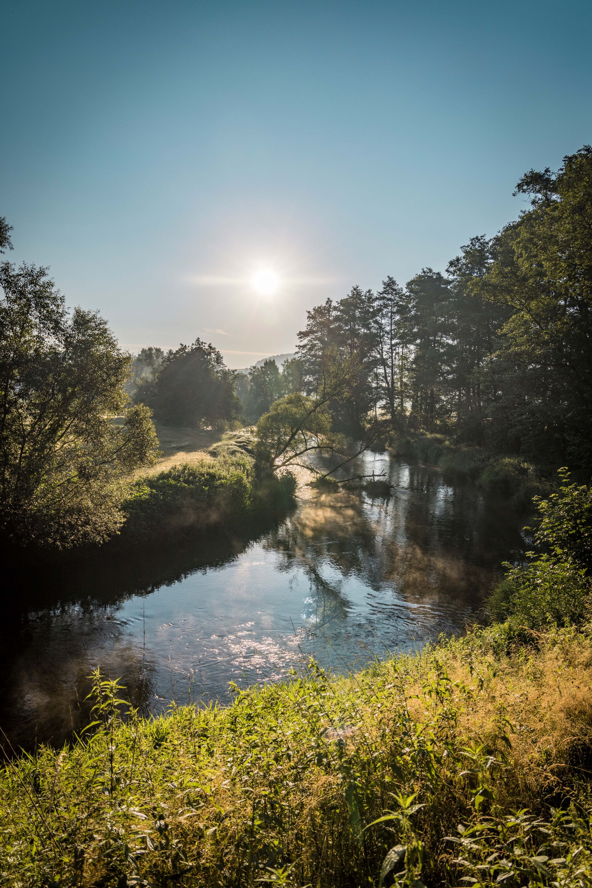 Morgenstimmung an der Schwarzach