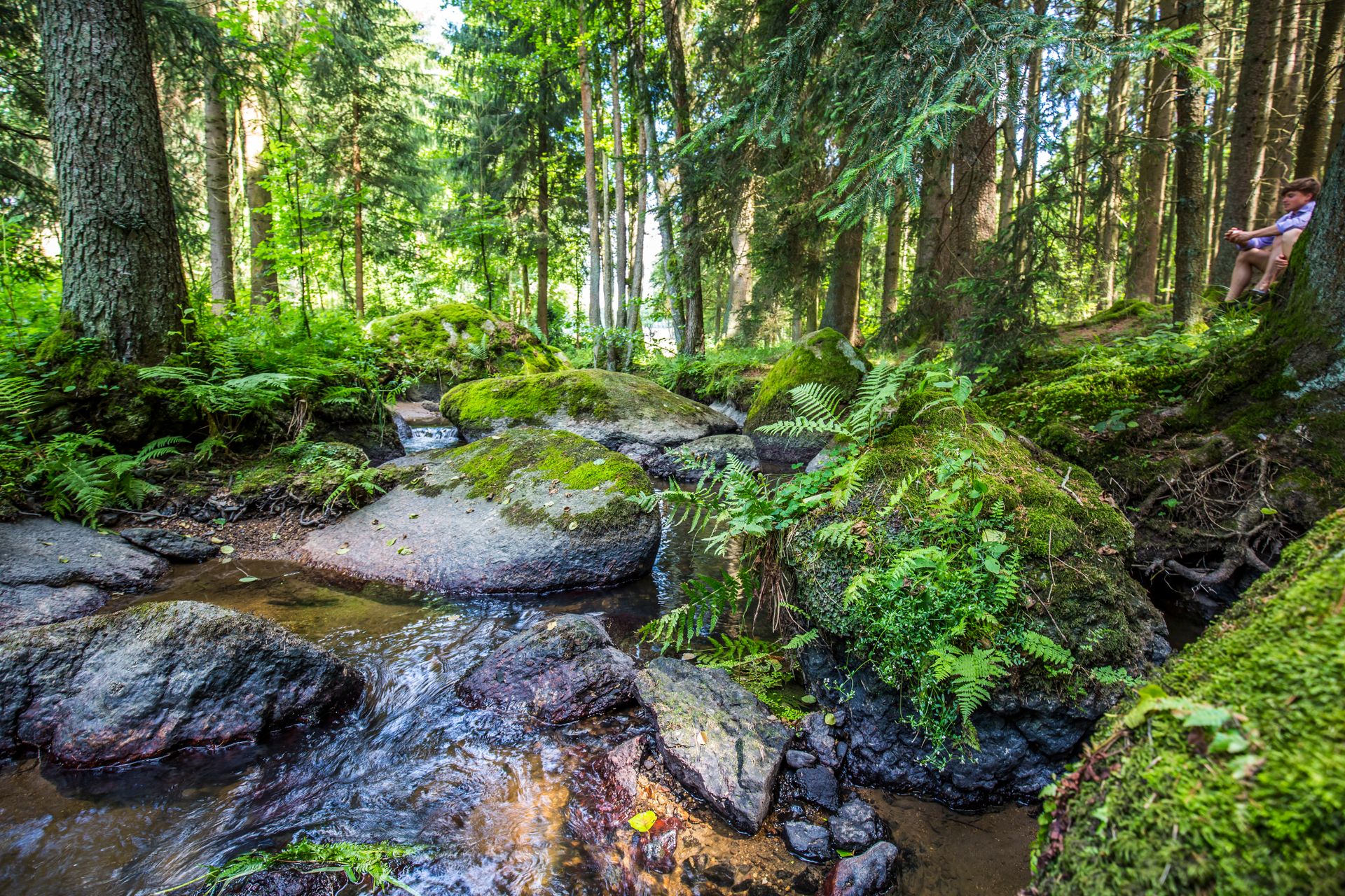 Naturschutzgebiet Doost 