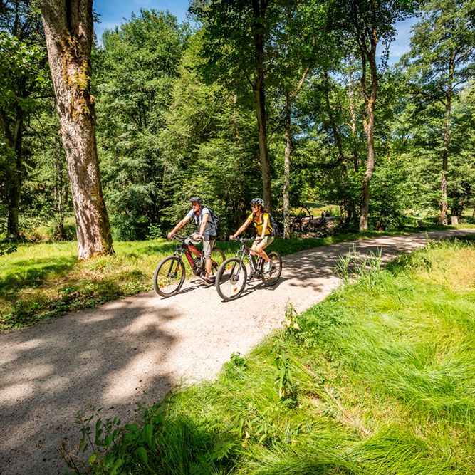 Radeln durch das wildromantische Waldnaabtal