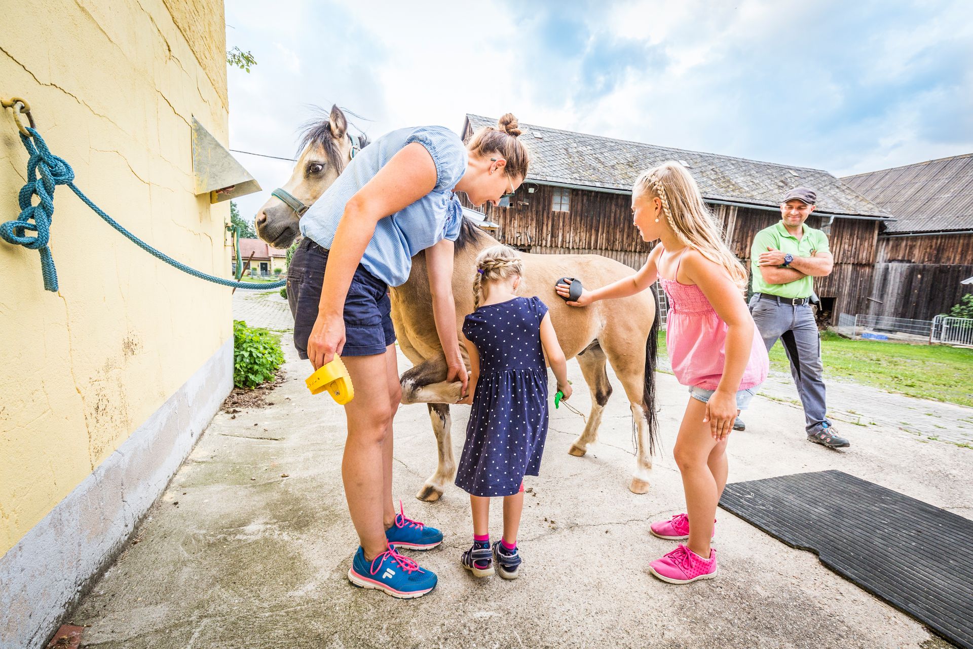 Pony am Birkholmhof