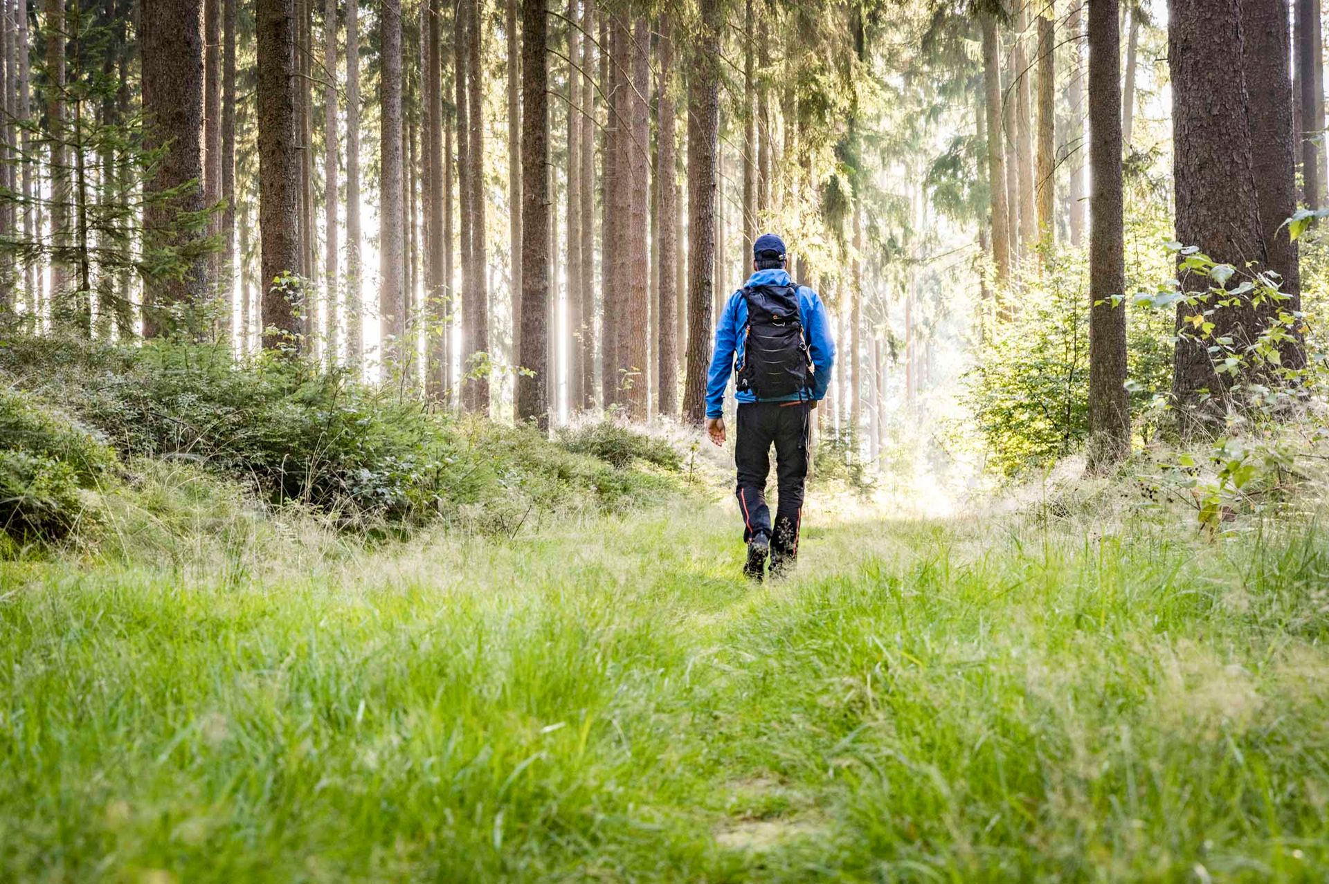 Naturpark Steinwald im Oberpfälzer Wald