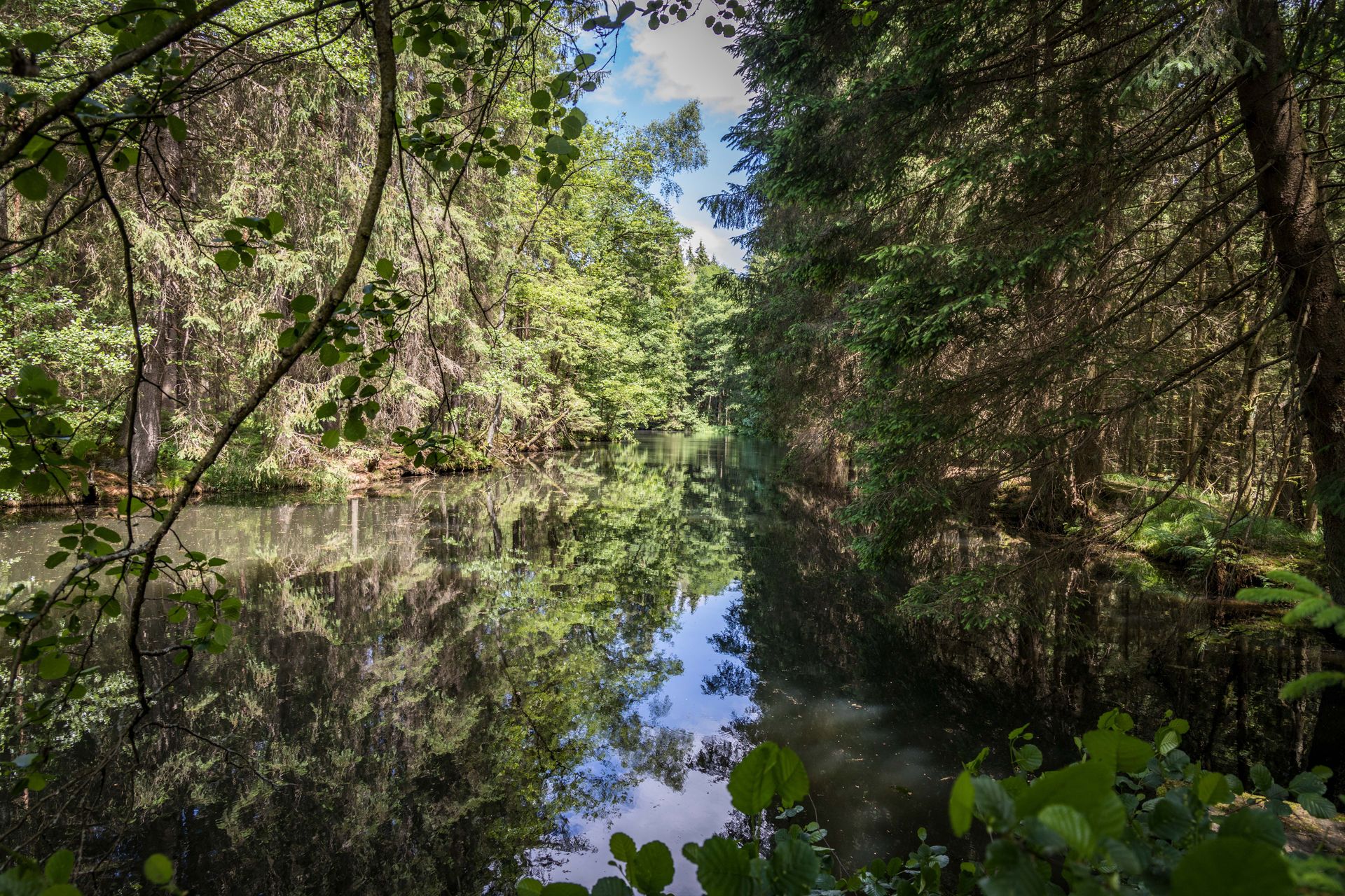 Ursprüngliche Natur