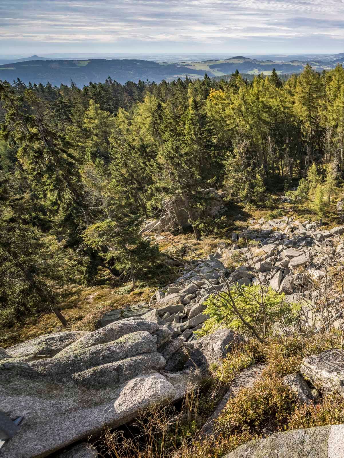 Aussicht vom Saubadfelsen im Naturpark Steinwald