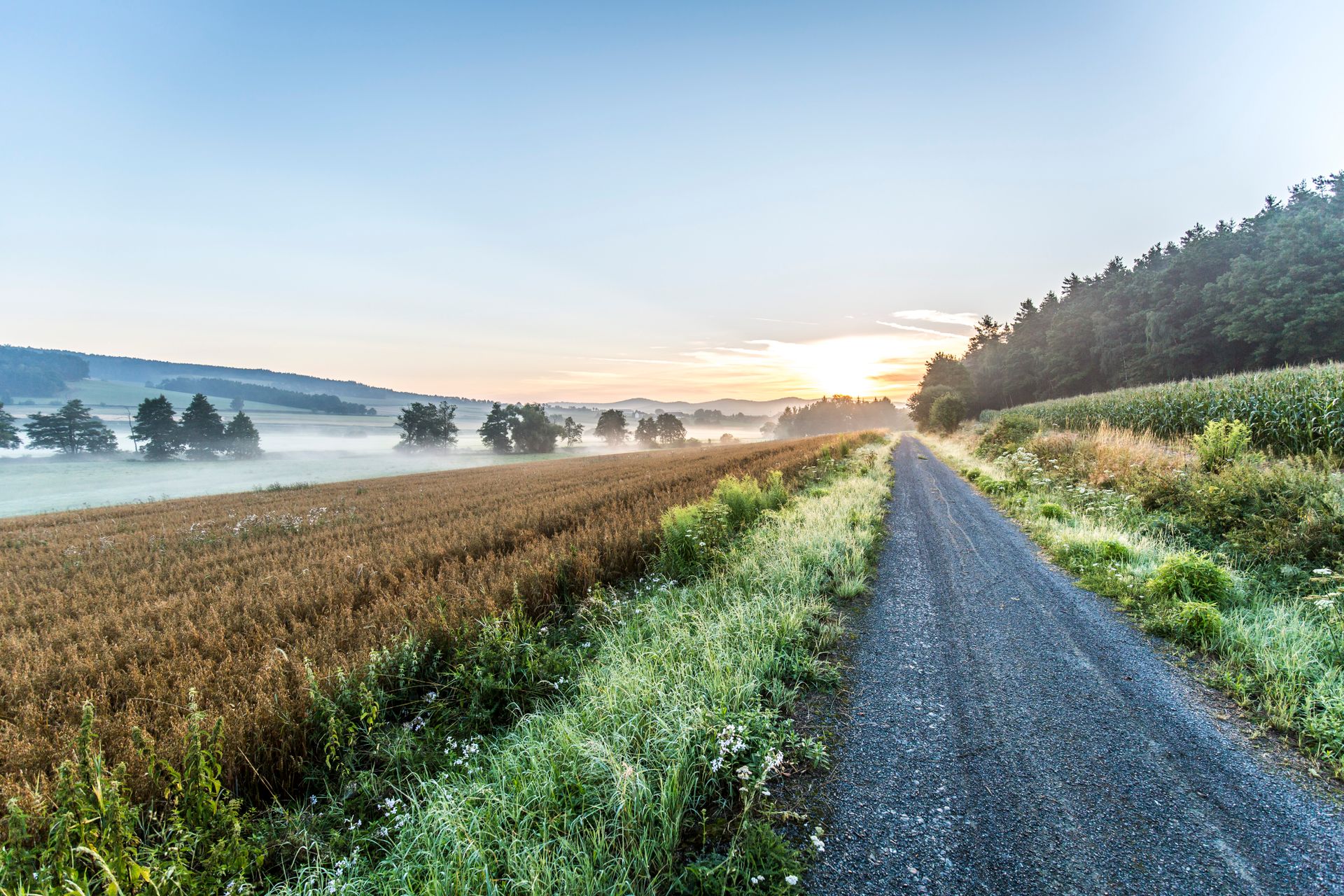 Morgenstimmung am Bayerisch-Böhmischen Freundschaftsweg