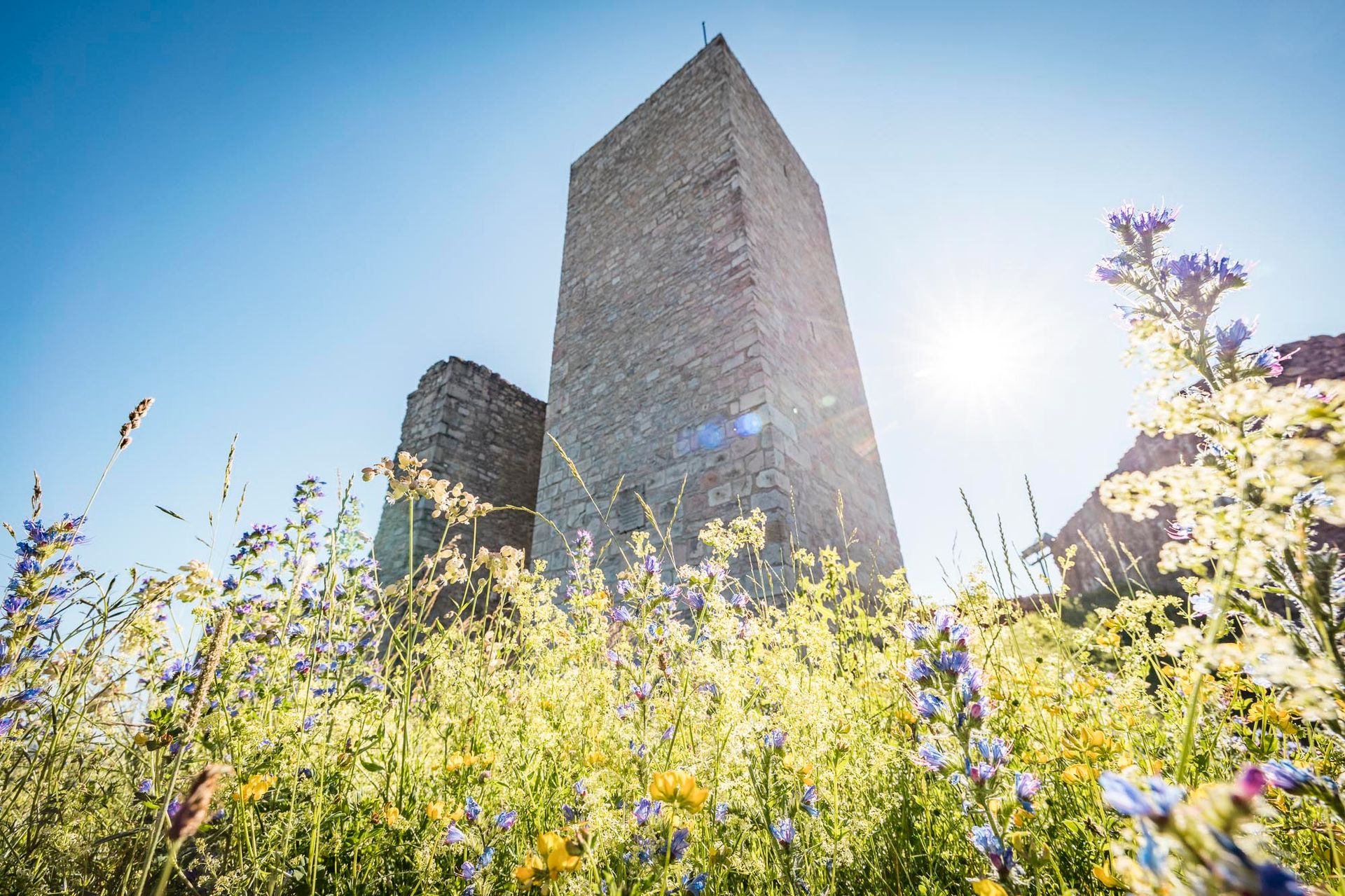 Burg Haus Murach