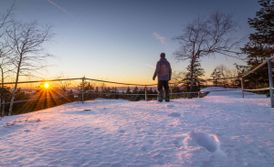 Winterwandern im Steinwald