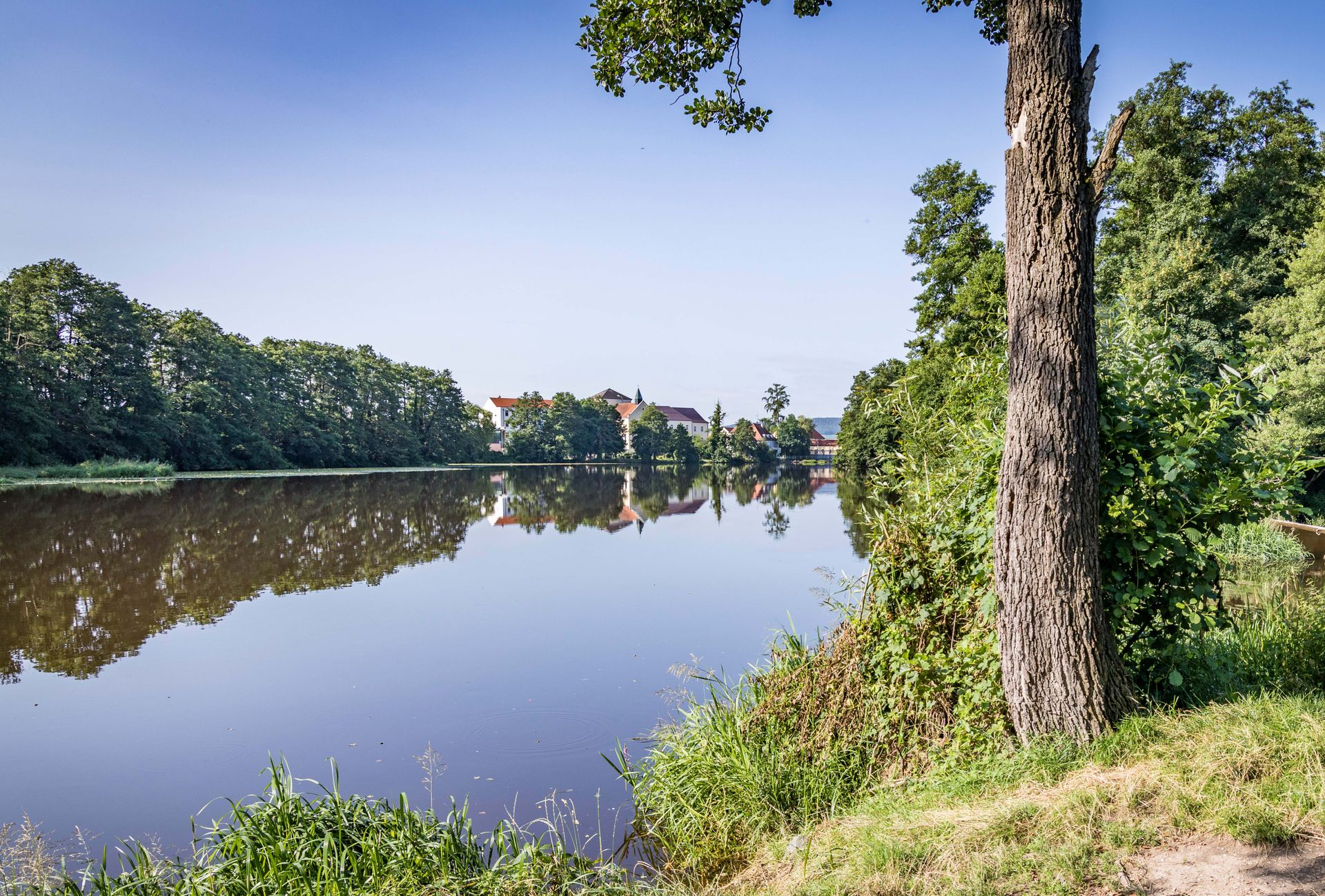 Naab bei Schwandorf