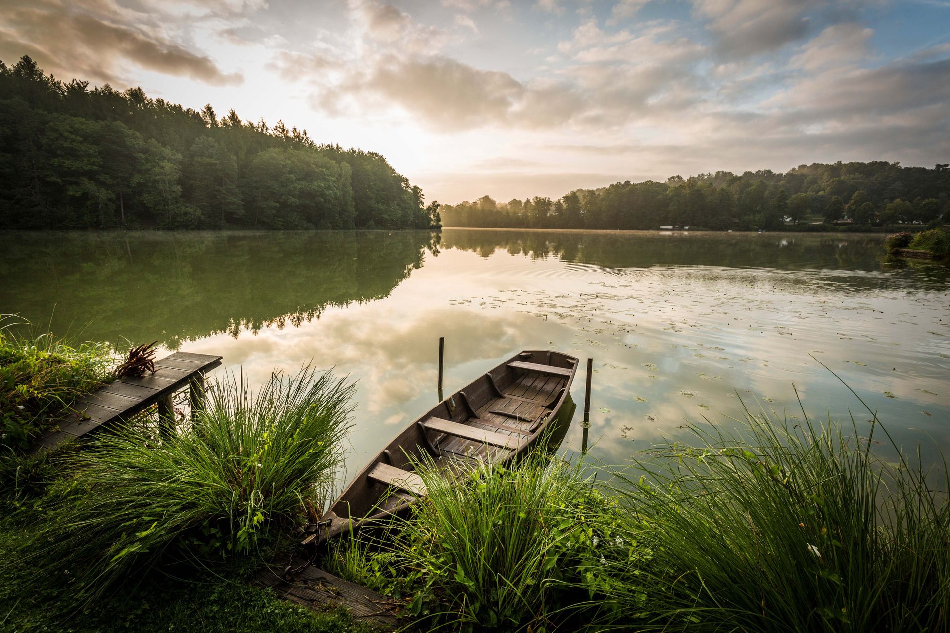 Morgenstimmung am Hammersee