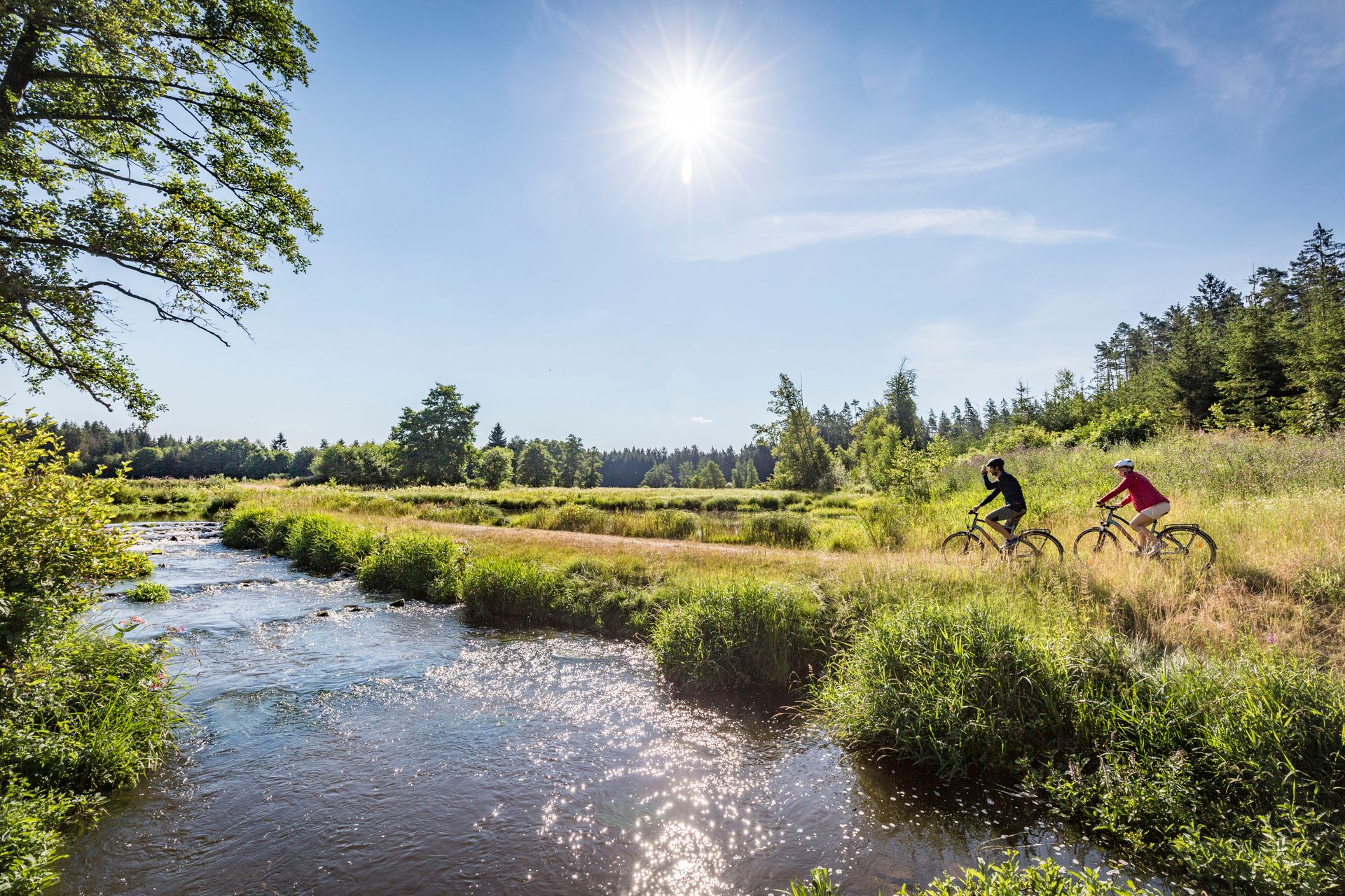 Waldnaabtal-Radweg bei Gumpen