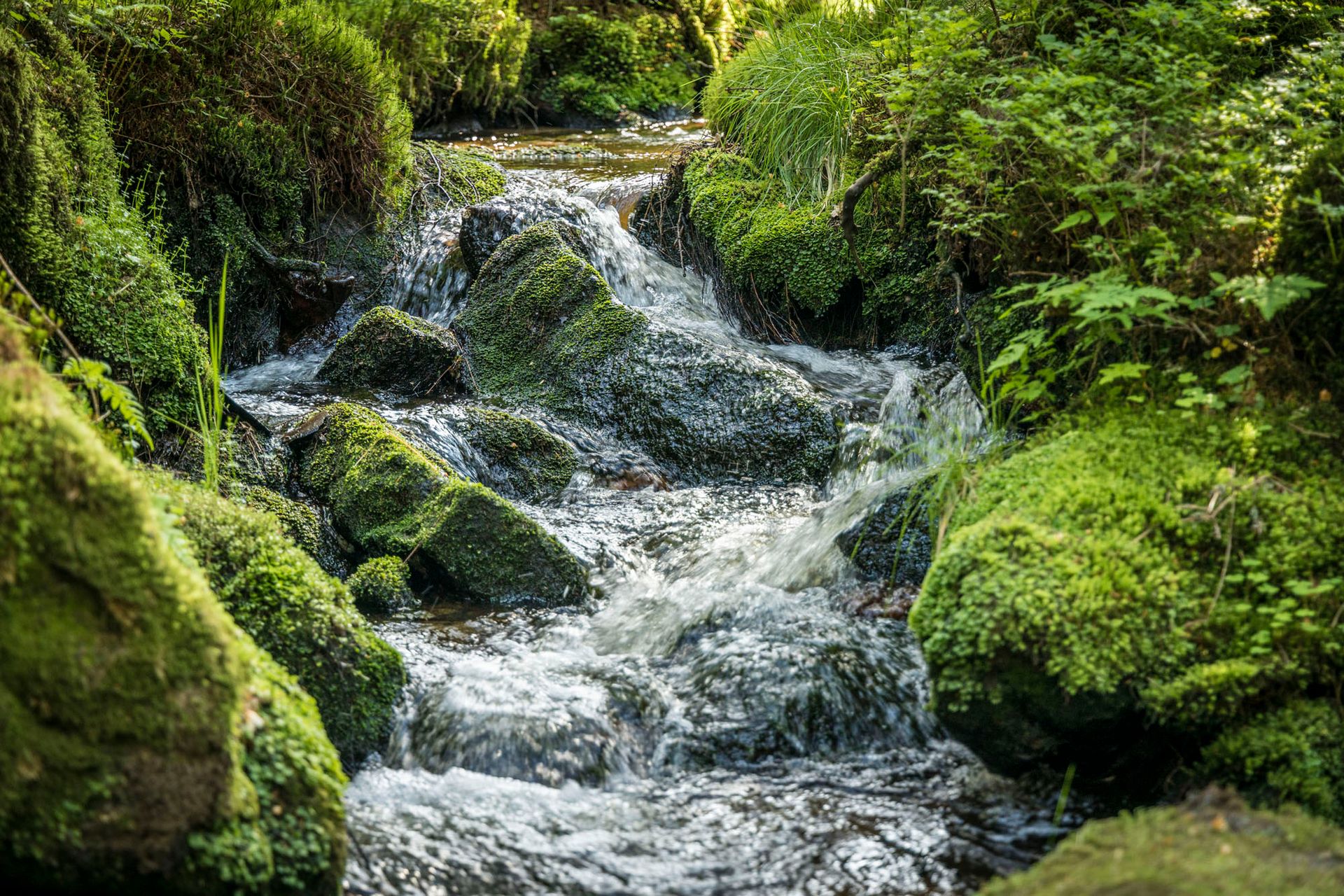 Wasserreiches Waldnaabtal