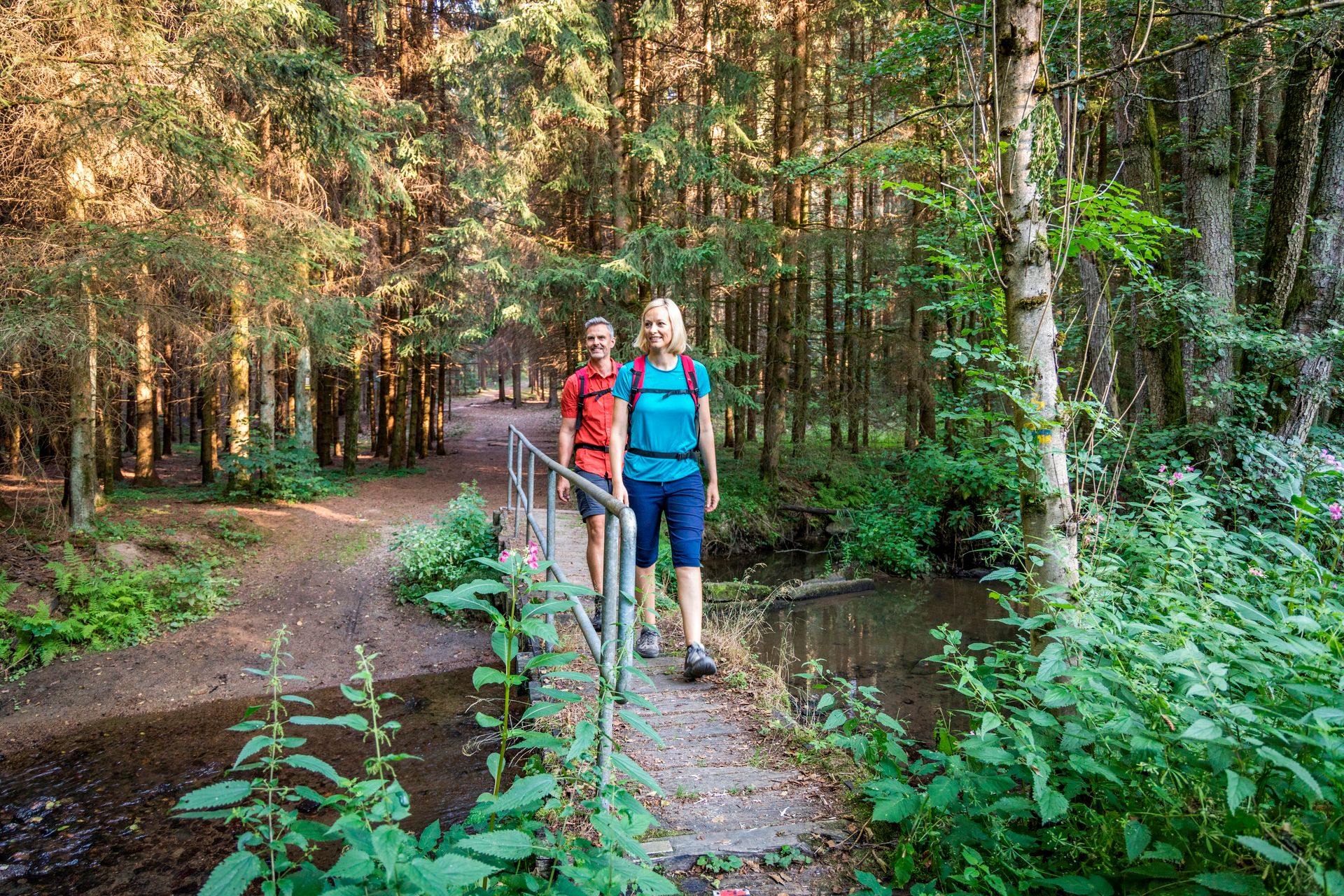 Wanderer im Lerautal