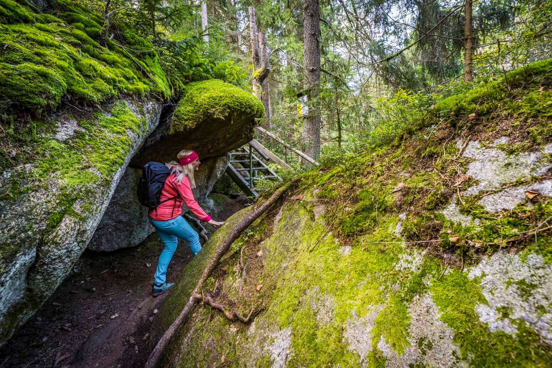 Uferpfad im Waldnaabtal