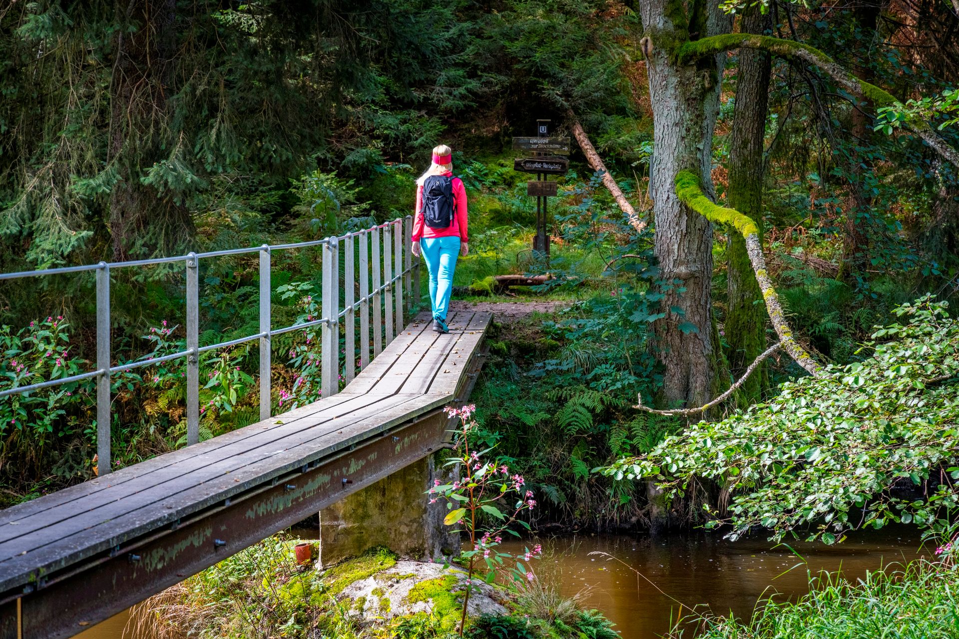 Wandern im Waldnaabtal