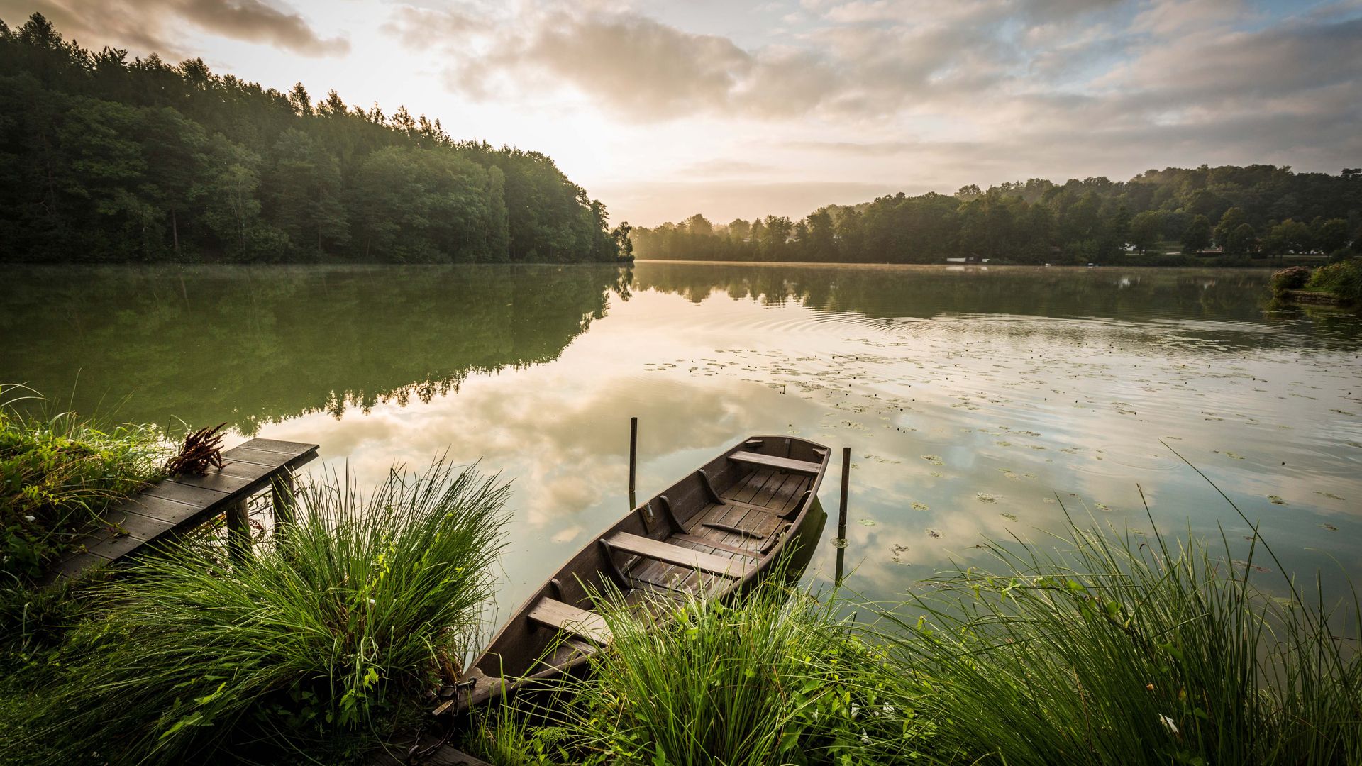 Morgenstimmung am Hammersee