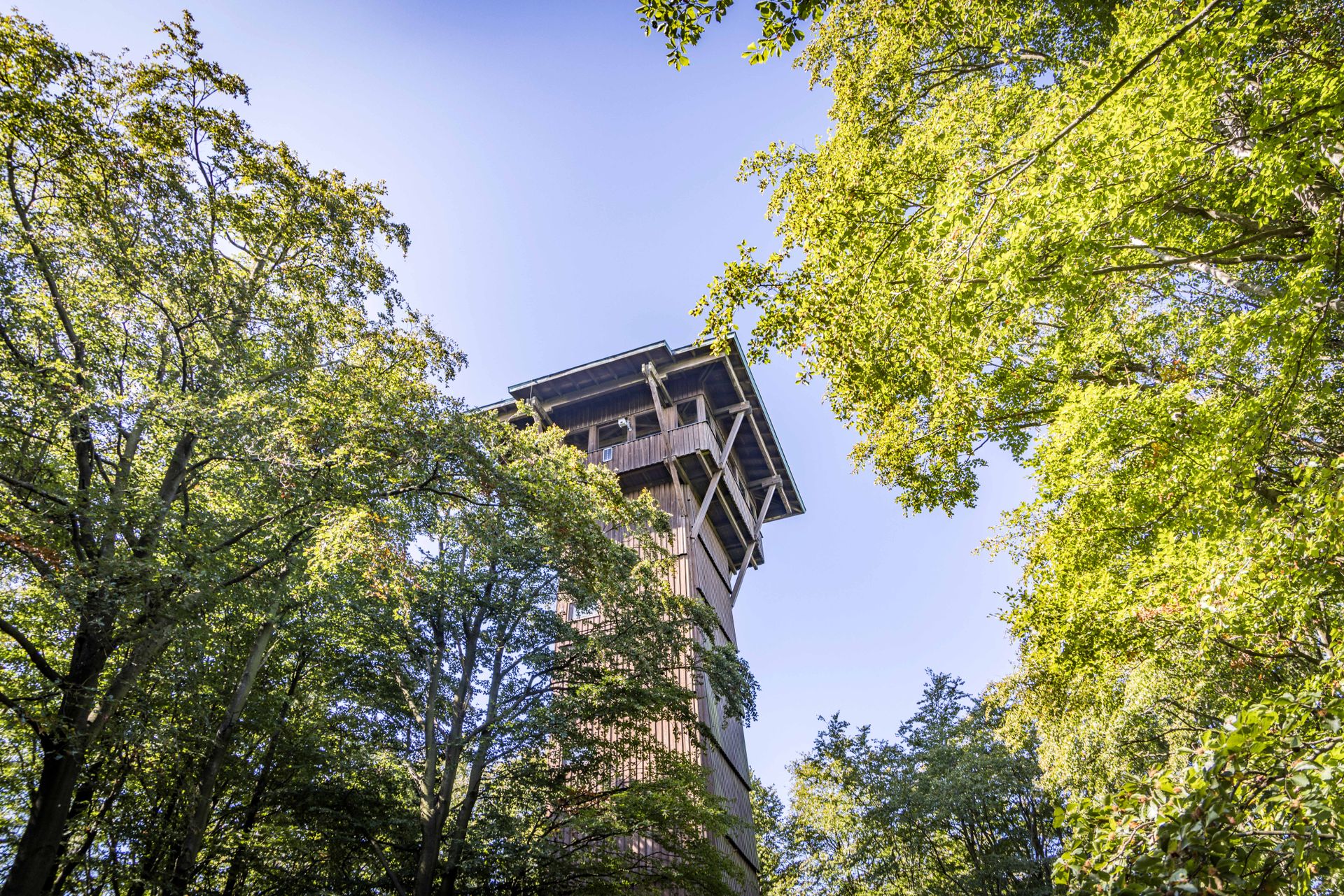 Böhmerwaldaussichtsturm bei Stadlern