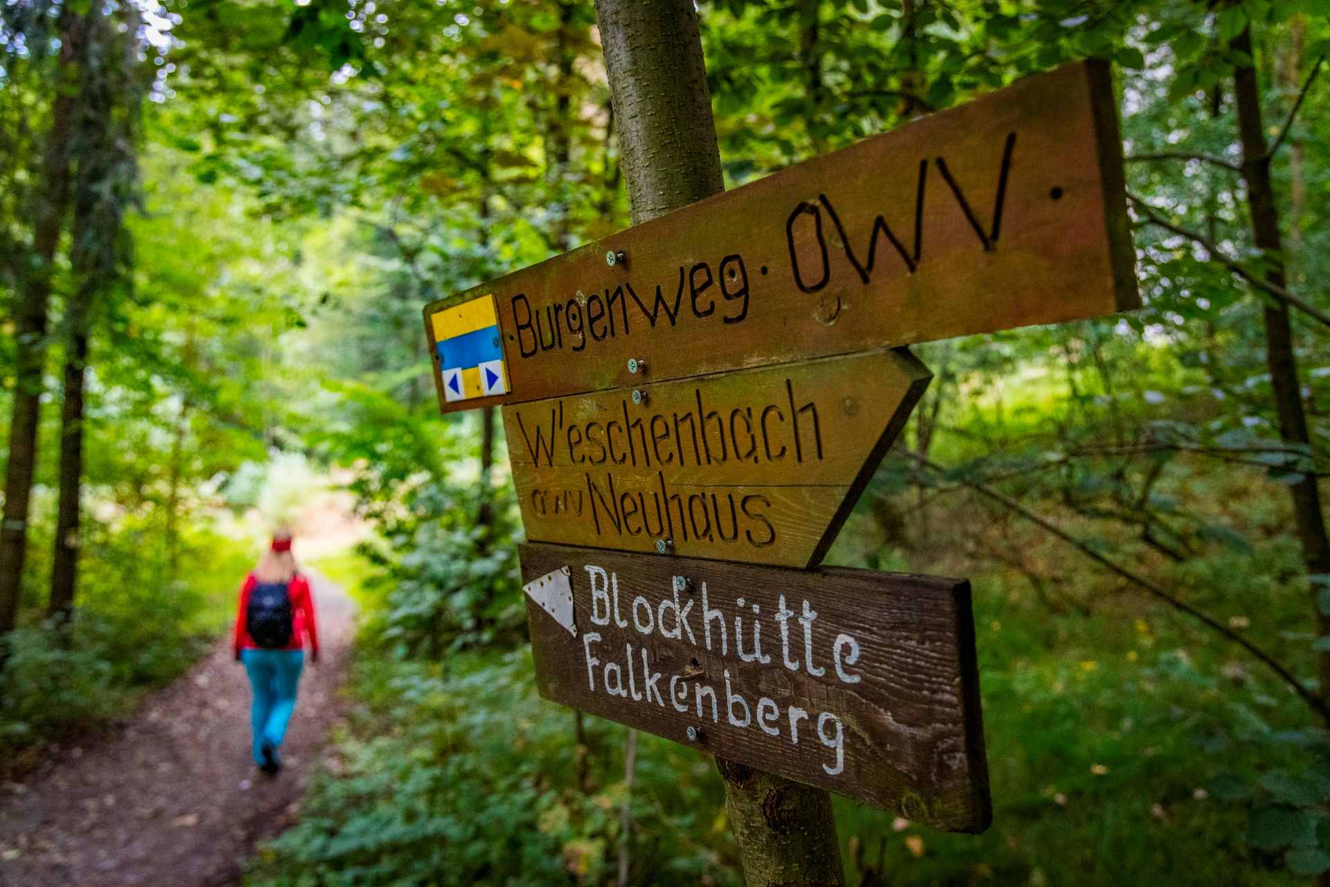 wandern im Waldnaabtal