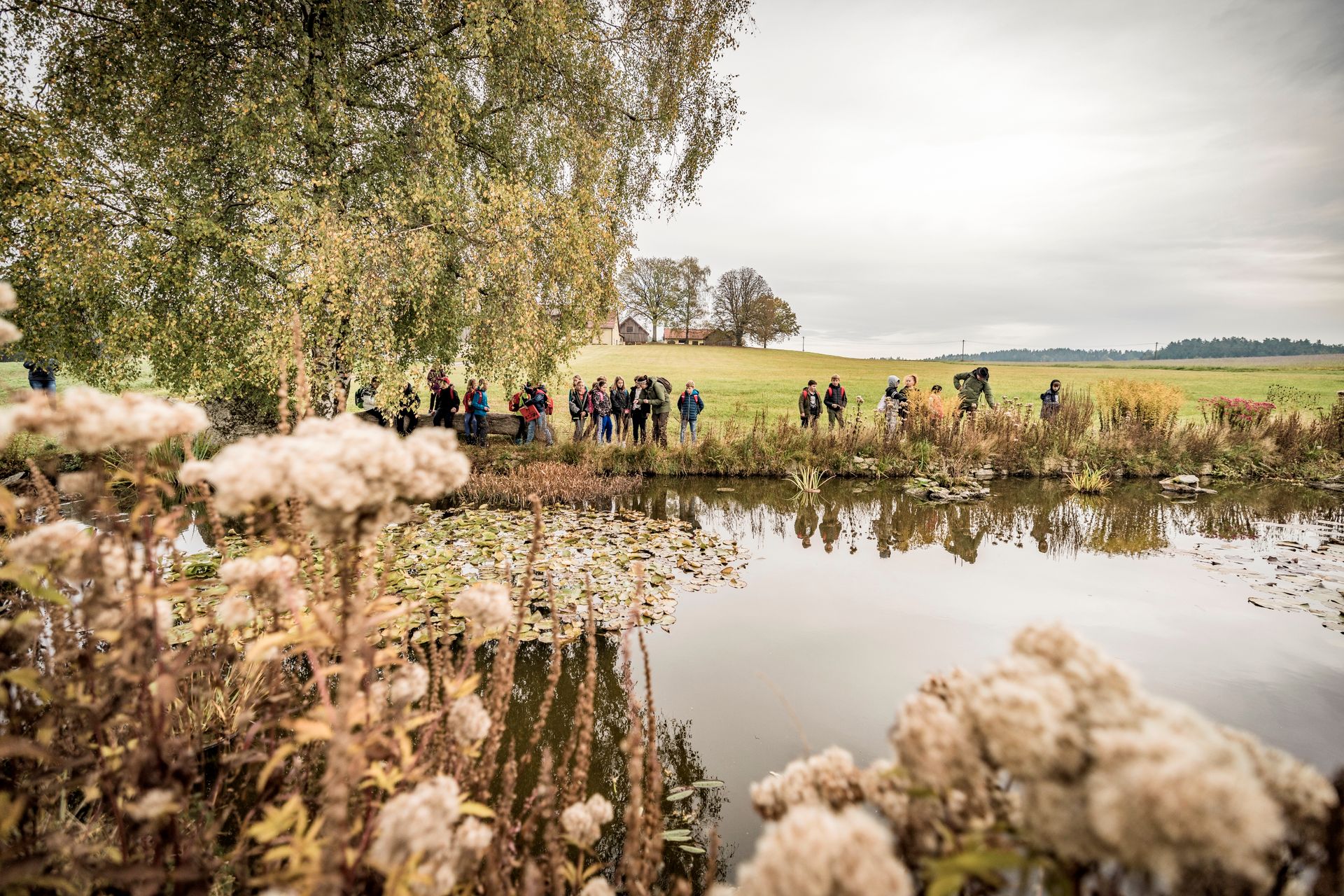 Findlingsweg am Teich