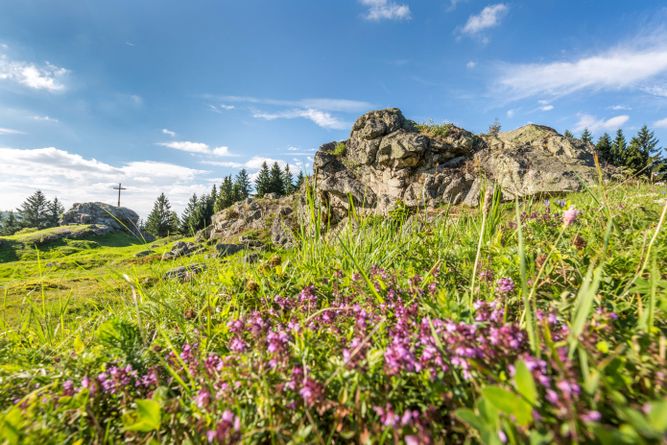 Auf dem 744m hohen Wildenstein