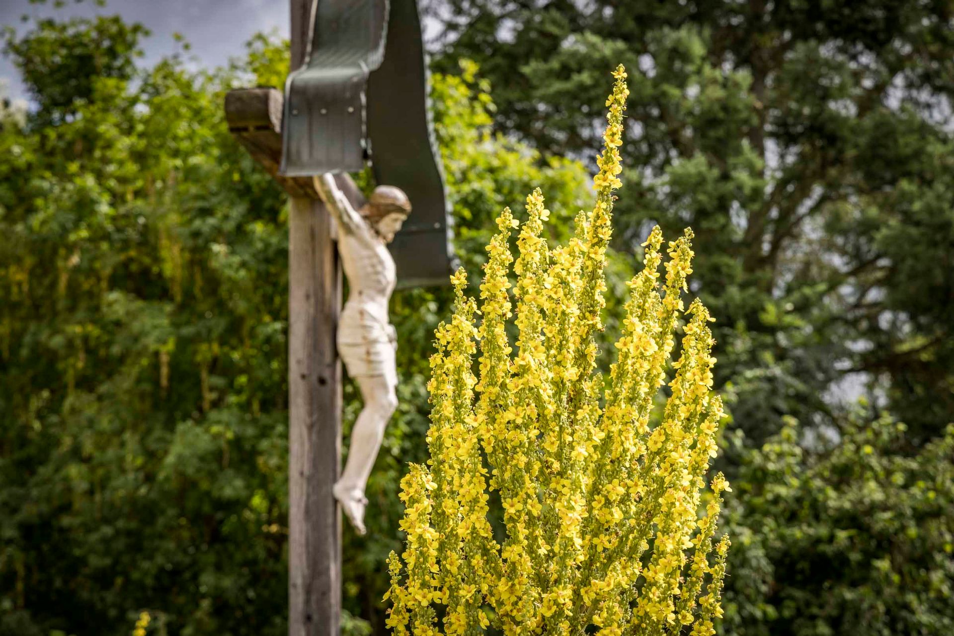 Kloster- und Naturerlebnisgarten Waldsassen