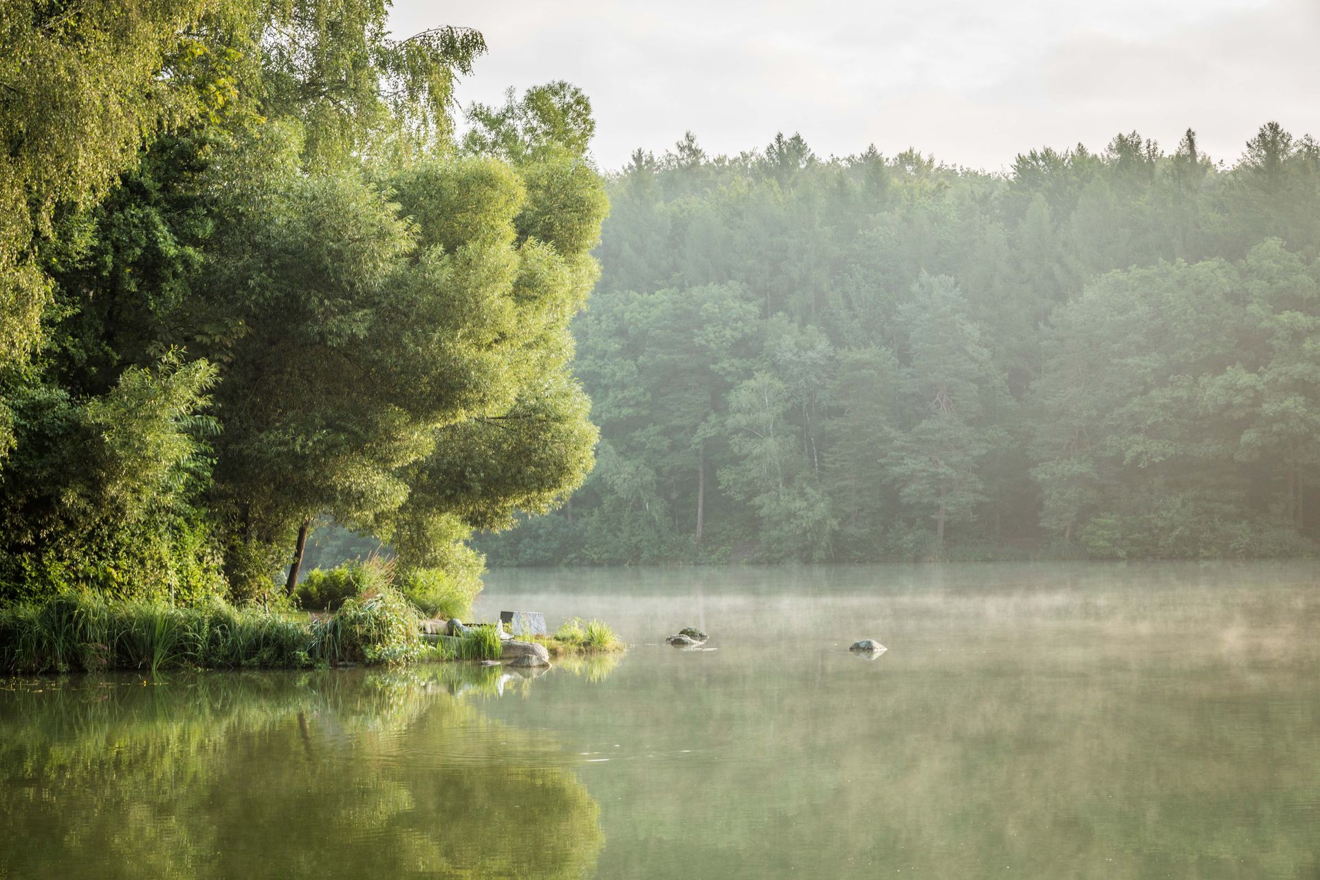 Hammersee in Bodenwöhr