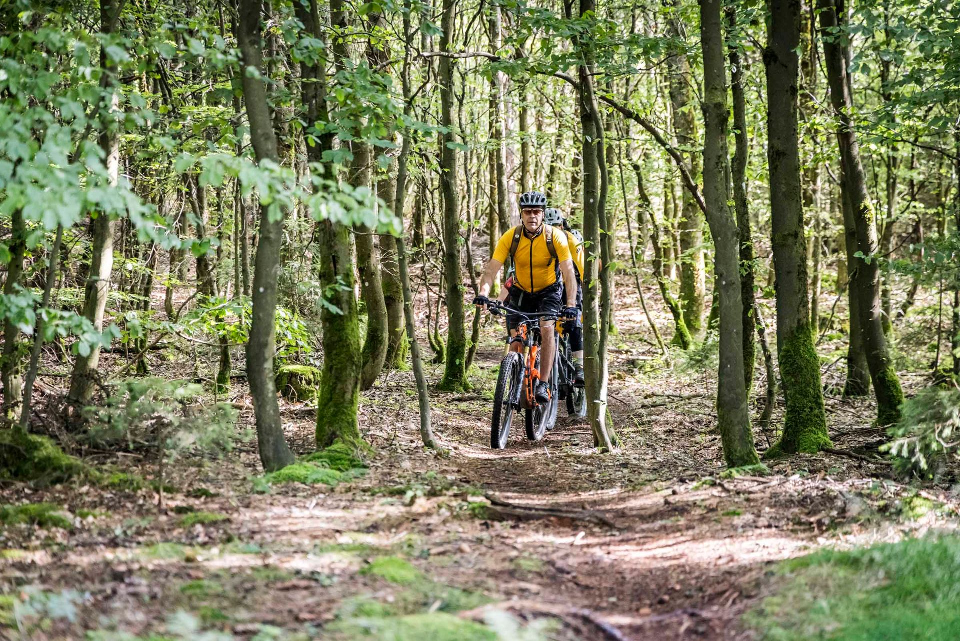 Mountainbiken im Steinwald