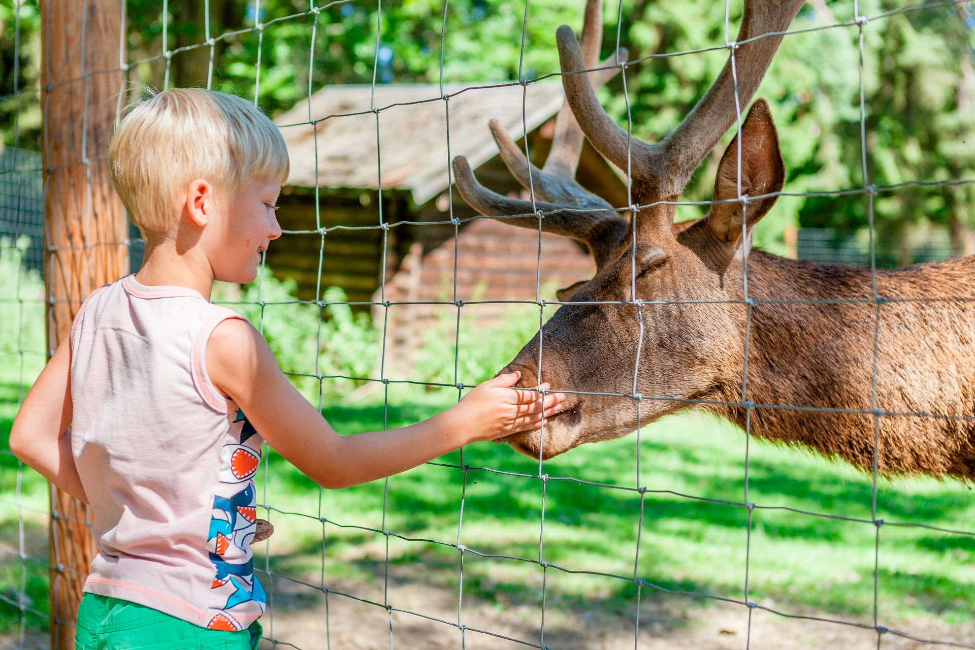 Wildpark Eslarn