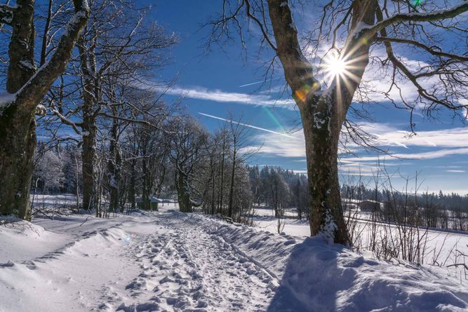 Sonne im Winter